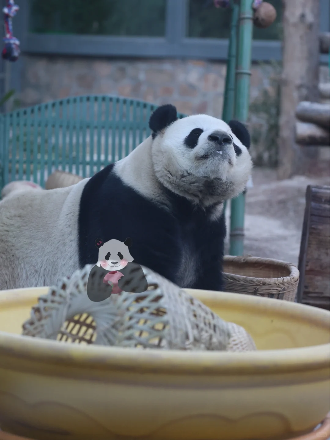 性感嫩模，在线翘臀