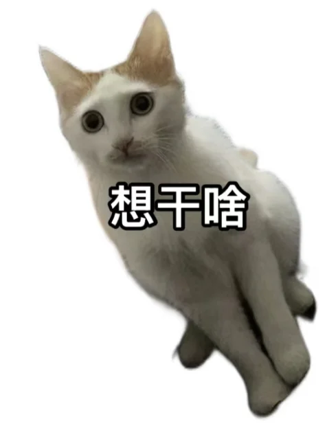 我会一直为我家猫做表情包的……