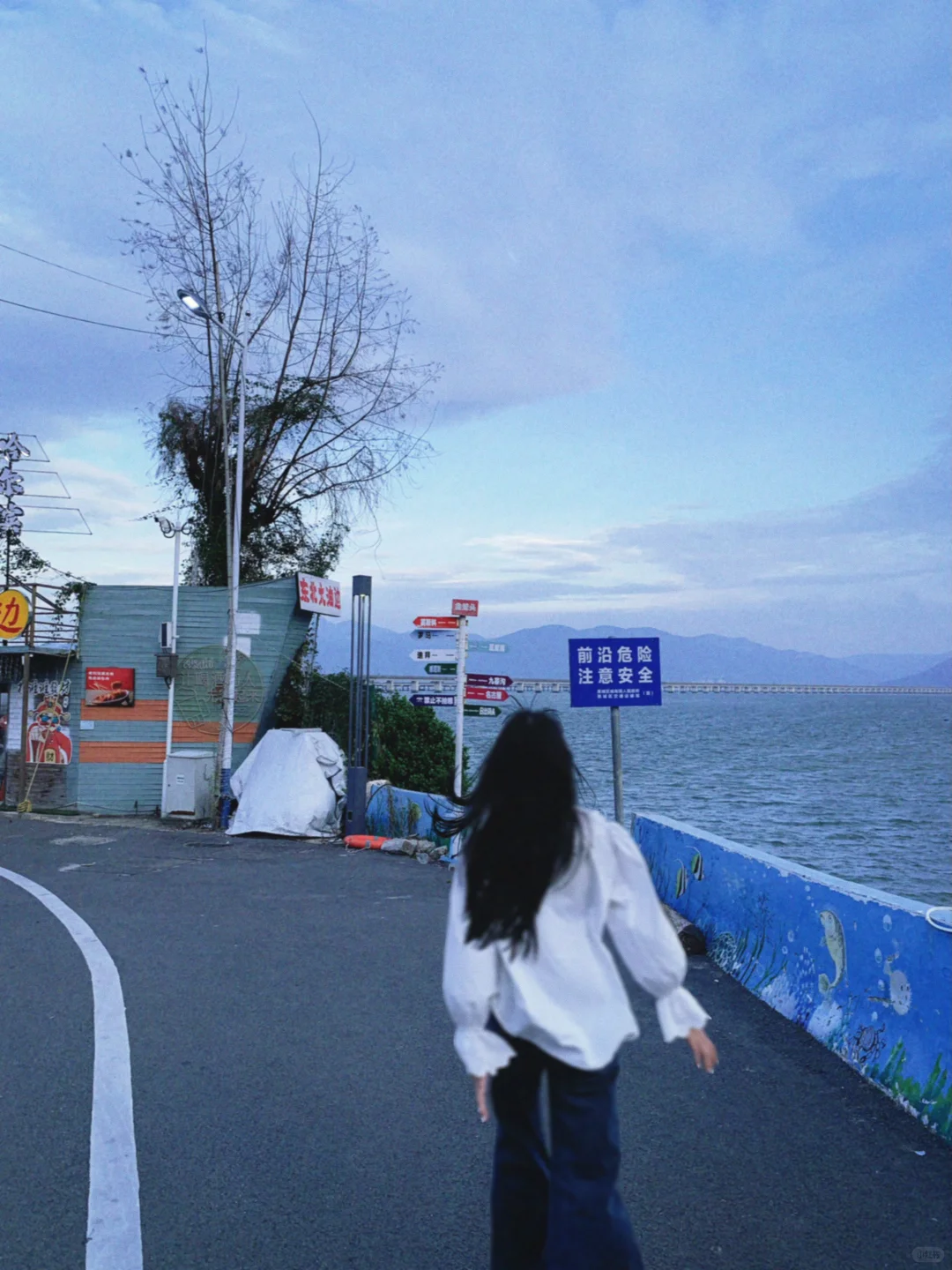 🌊比好看更让人着迷的是生命力