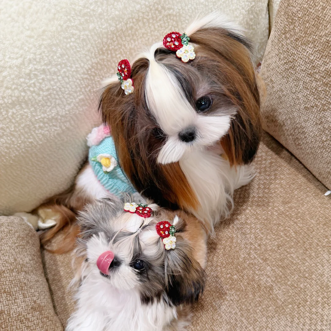 谁曾想谁曾想？姐妹一起拍照了！