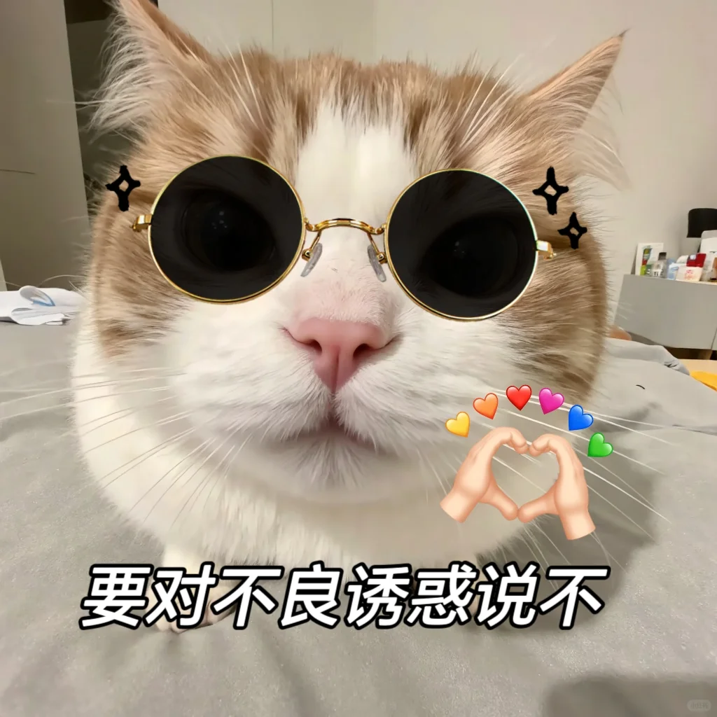 情侣聊天专用可爱小猫表情包