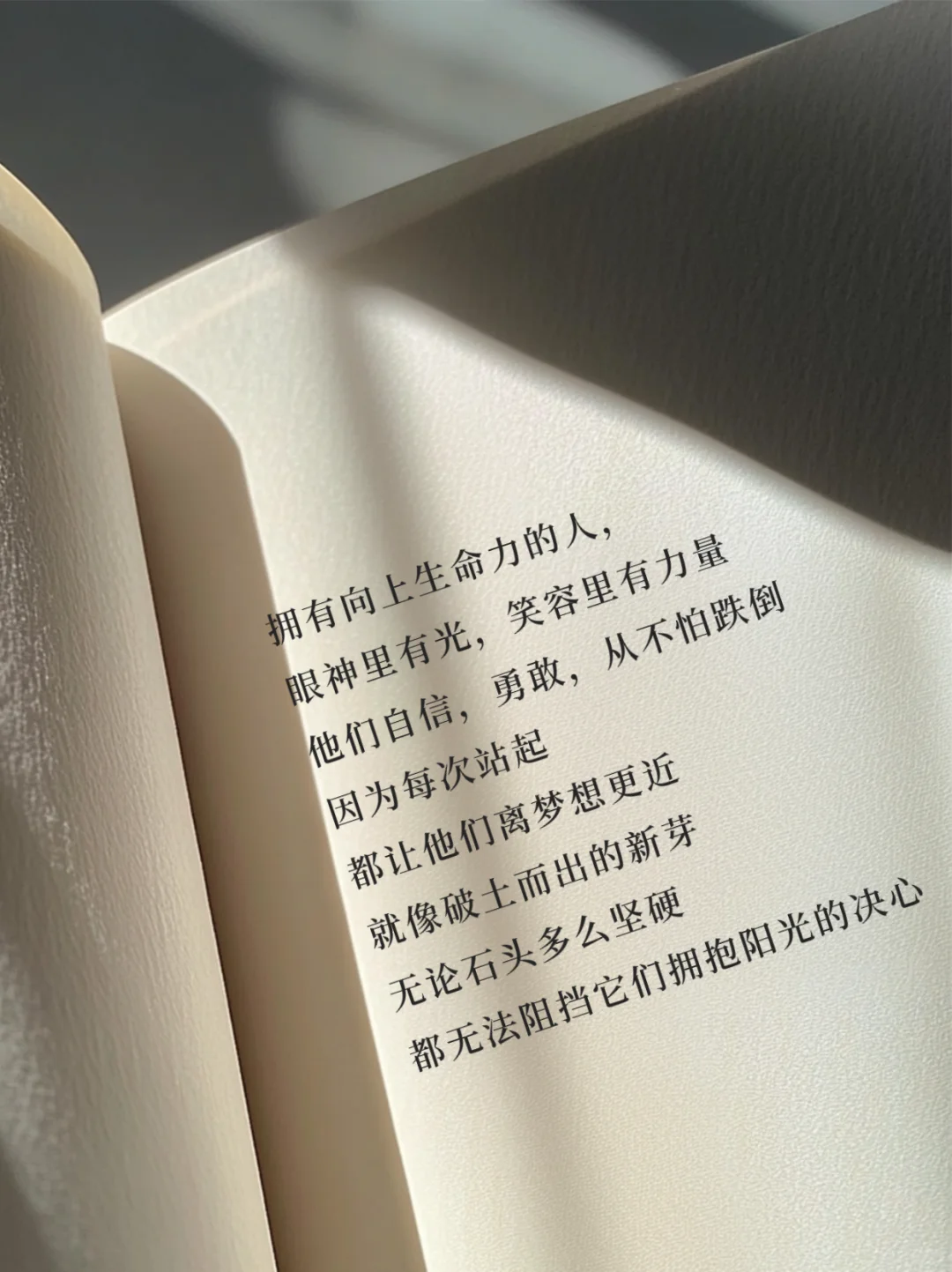 喜欢拥有向上生命力的女孩子