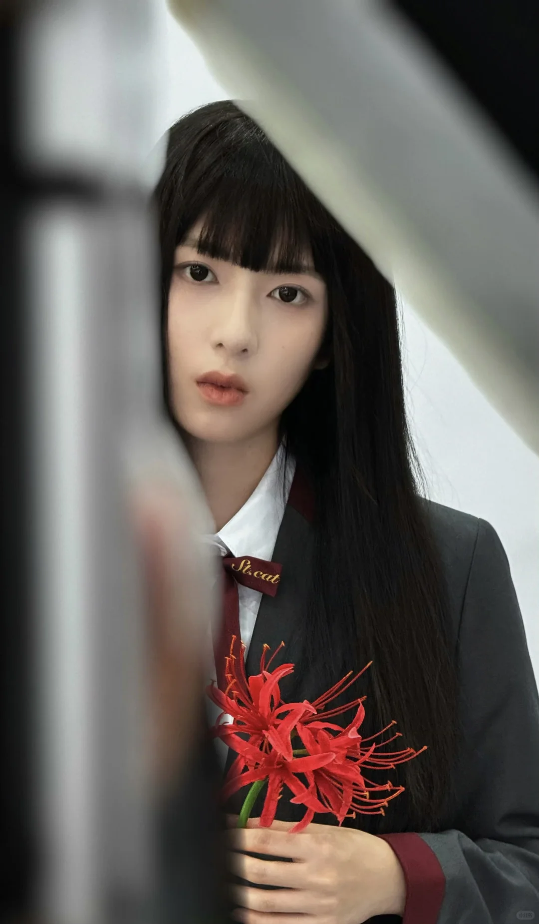 复仇爽剧《虚构岛主小姐》已开播 不看必后悔