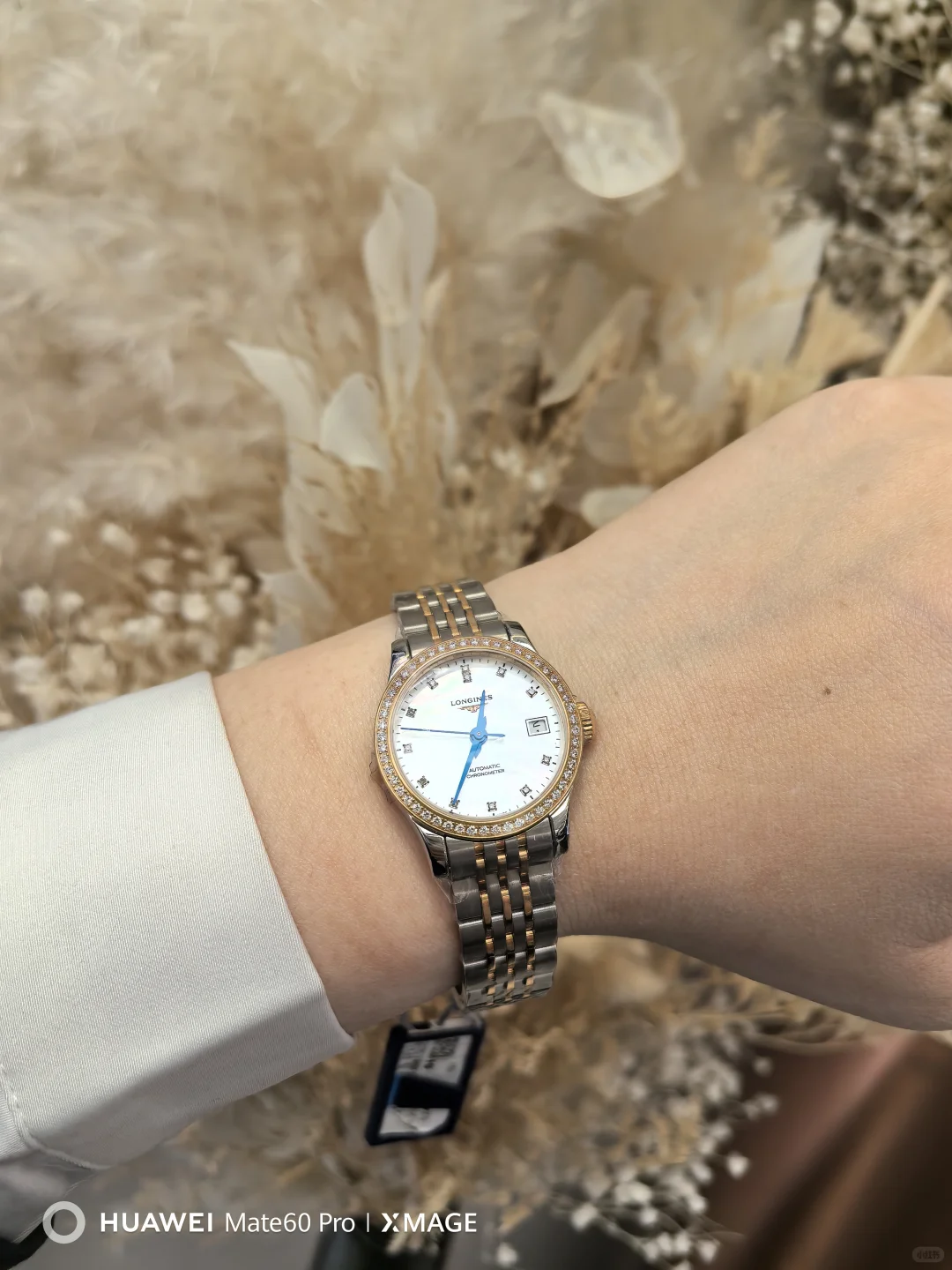 浪琴 开创者女表原相机下的闪耀光芒🌟
