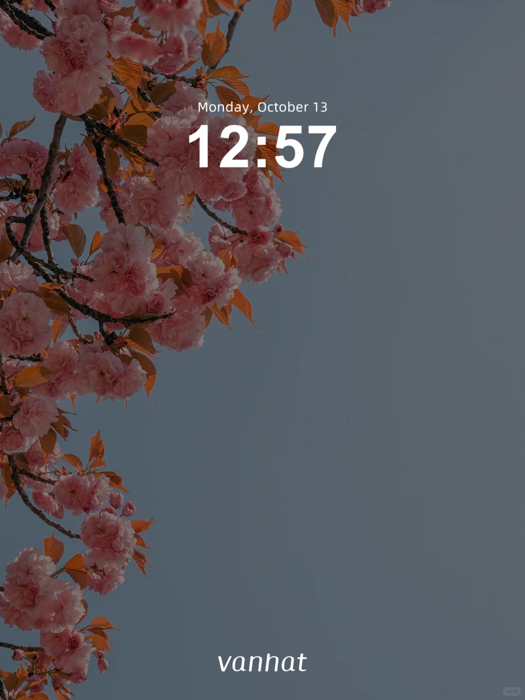 Vanhat壁纸｜樱&娇艳