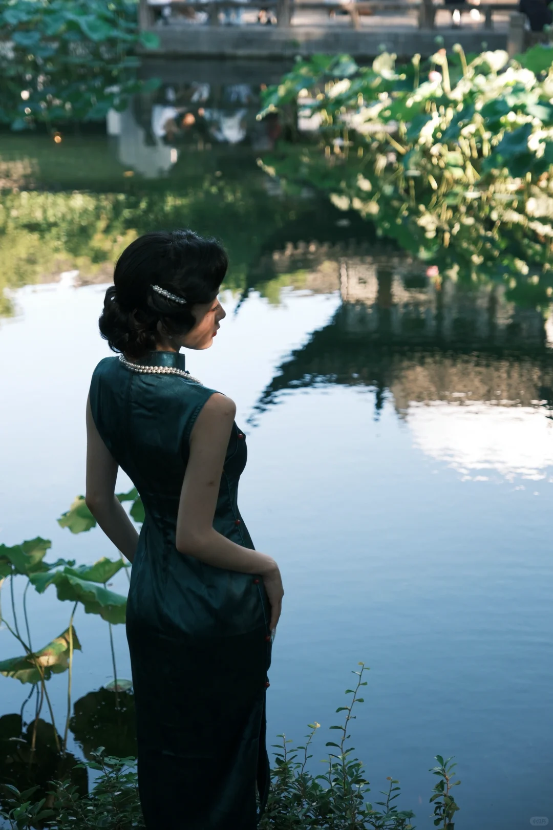 如此权威的脸让我拍到了