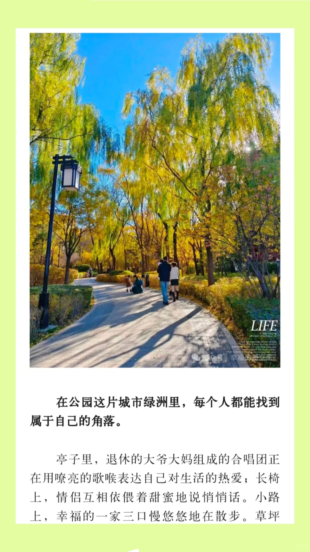 女大勇闯公众号|文章|公园|第六章