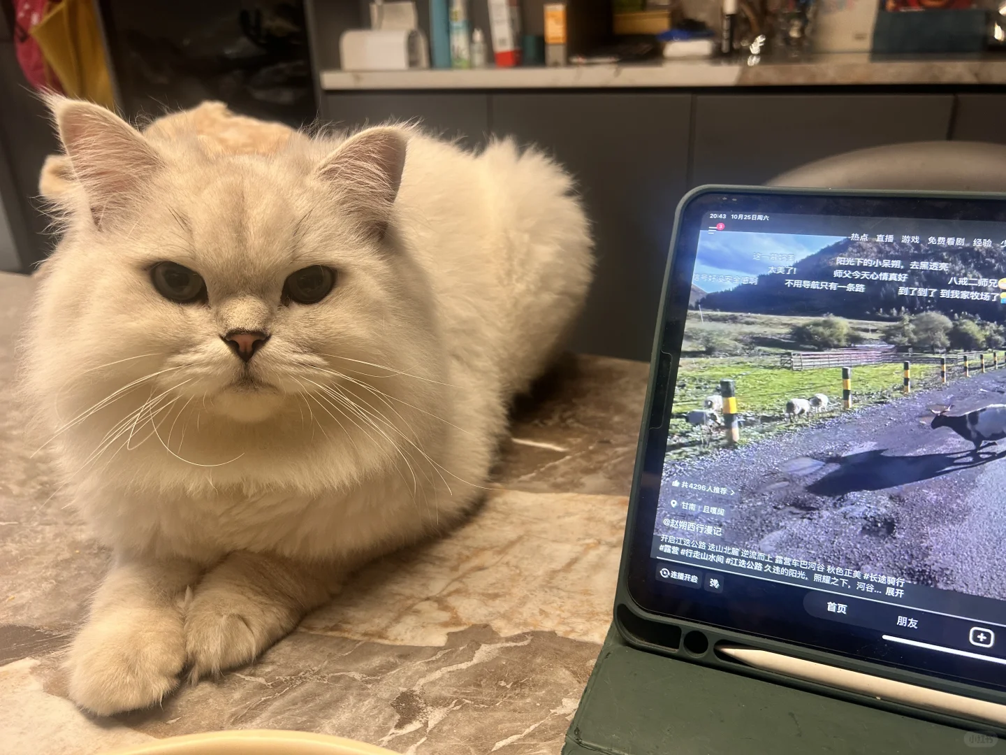 听说美女是稀缺资源 要多美才算