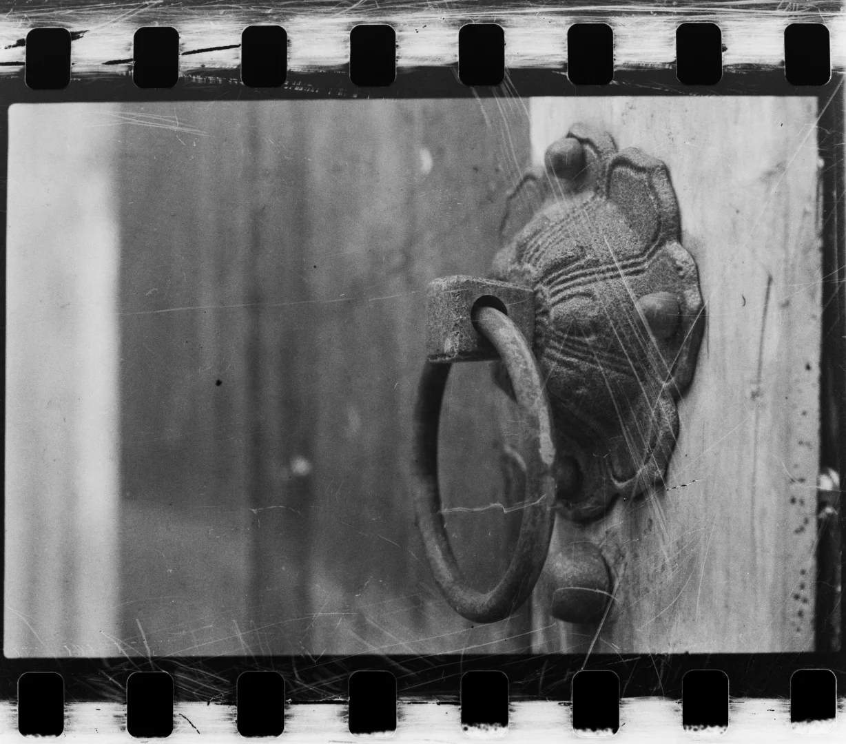 50岁的胶片浪漫：岁月从不败美人，只让她更