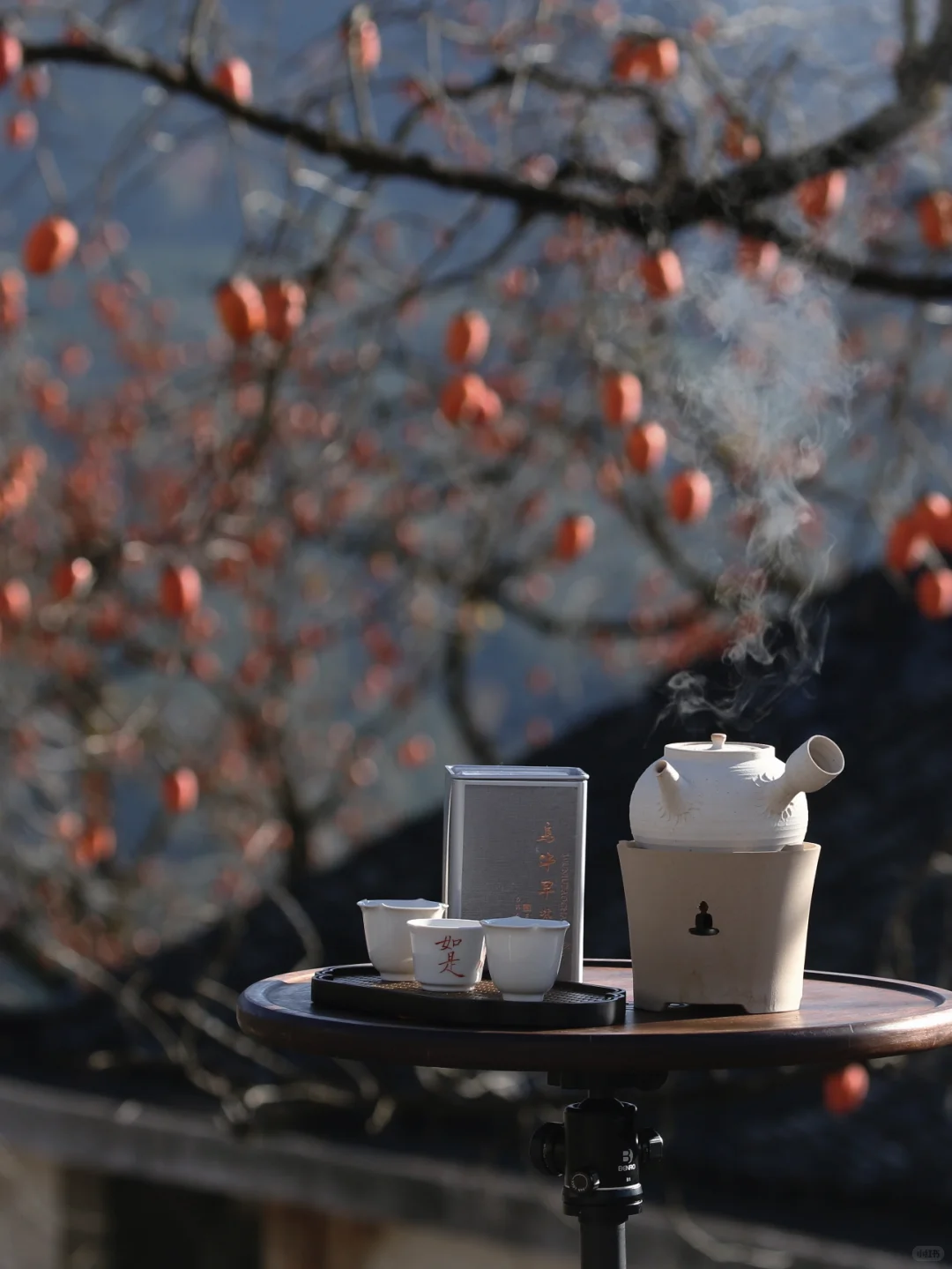 花柿灯如昼｜开始期待西炉村的柿子了。