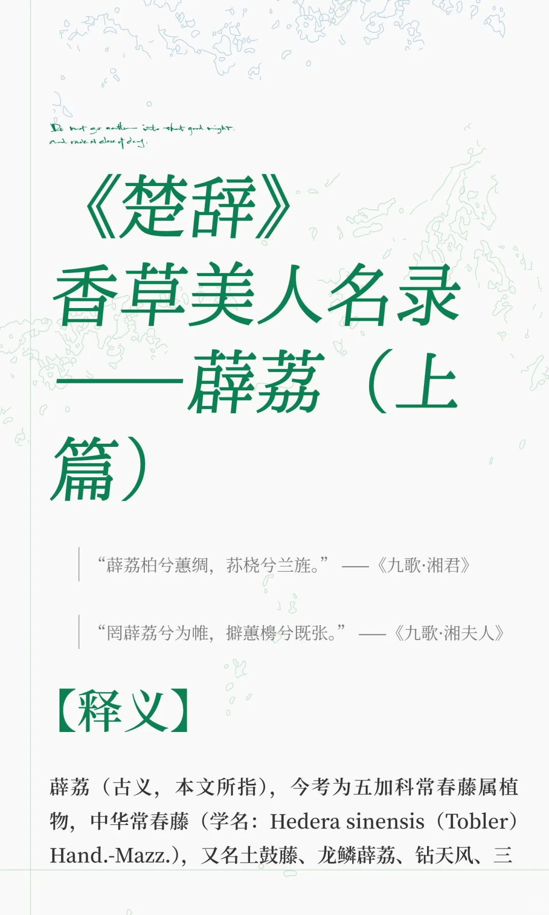 《楚辞》香草美人名录——薜荔（上篇）