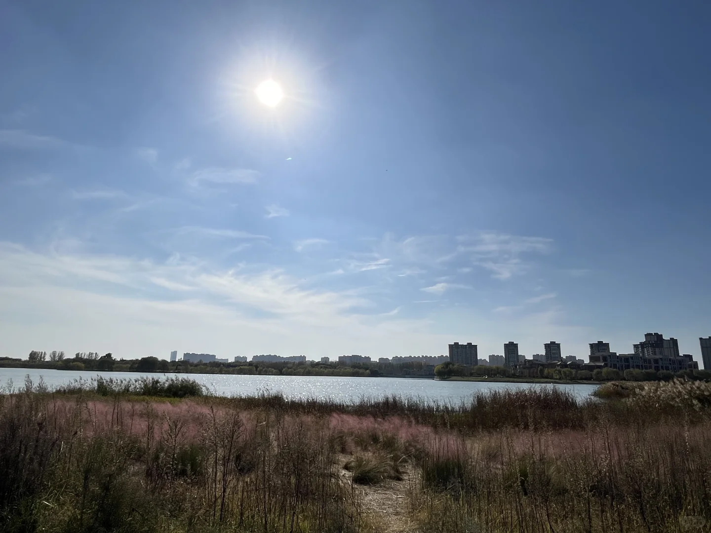 今日份的美人与美景😙