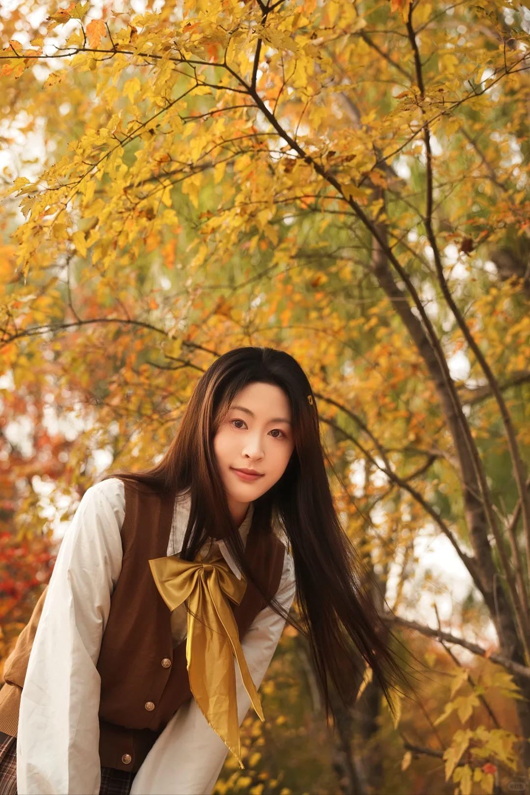 秋日JK少女与银杏的浪漫邂逅