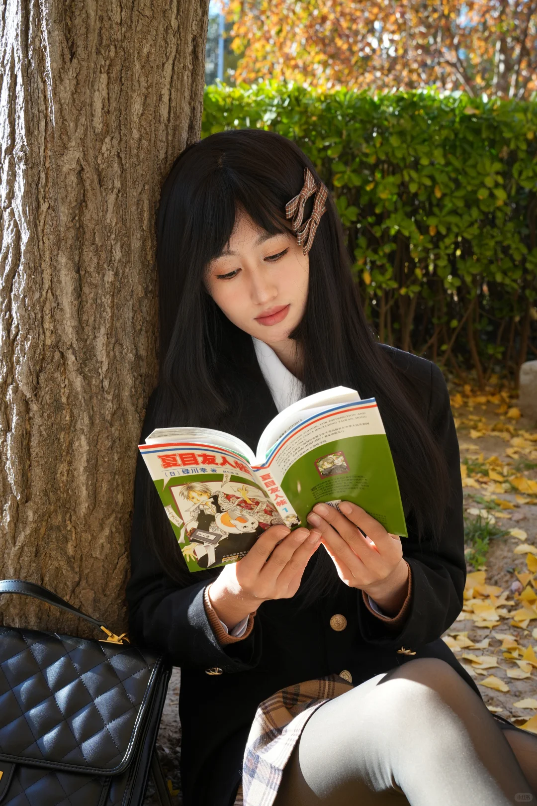 来和我一起赏 北平的秋吧