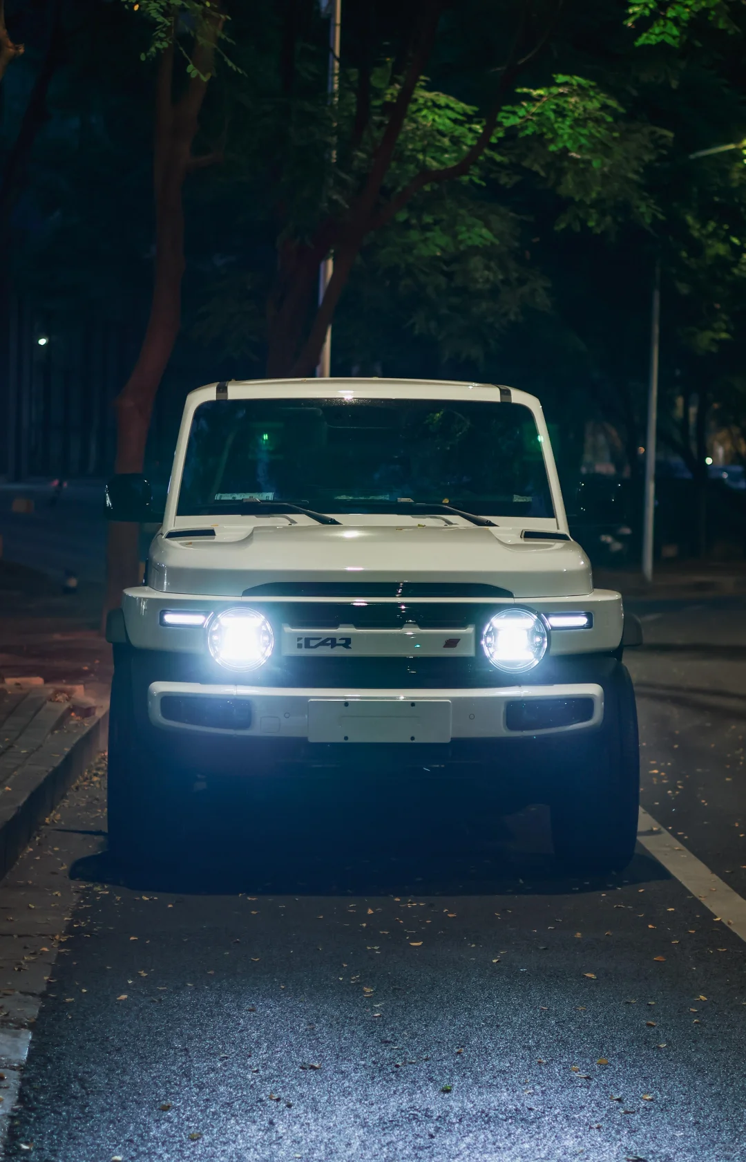 📸 白天 vs 夜晚，小白都好好拍！ ✨