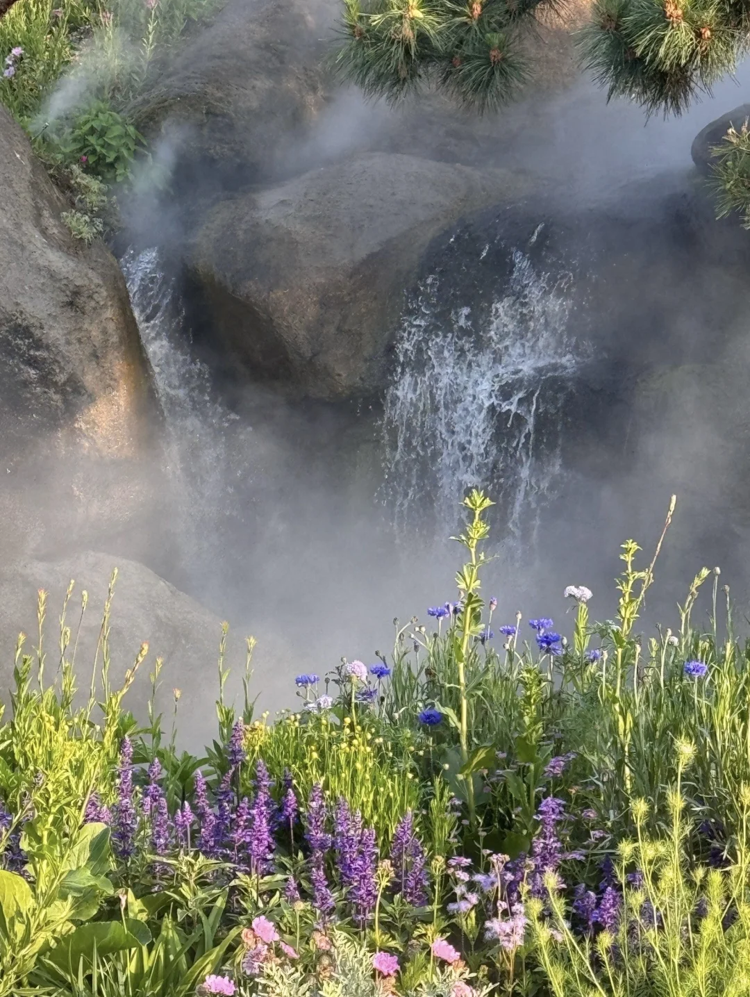 🦢在天然氧吧的下午茶