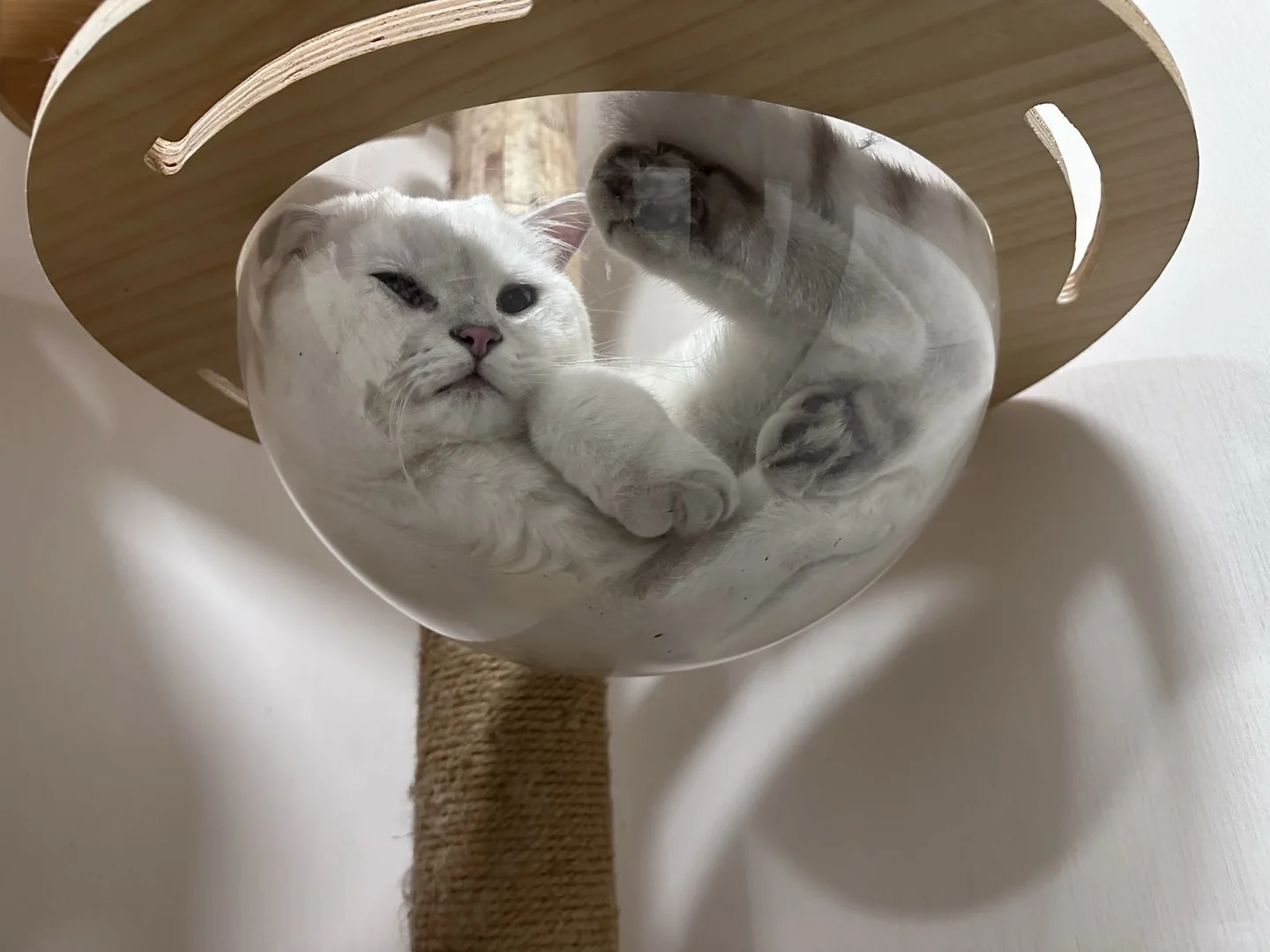 媚眼如丝→鬼迷日眼