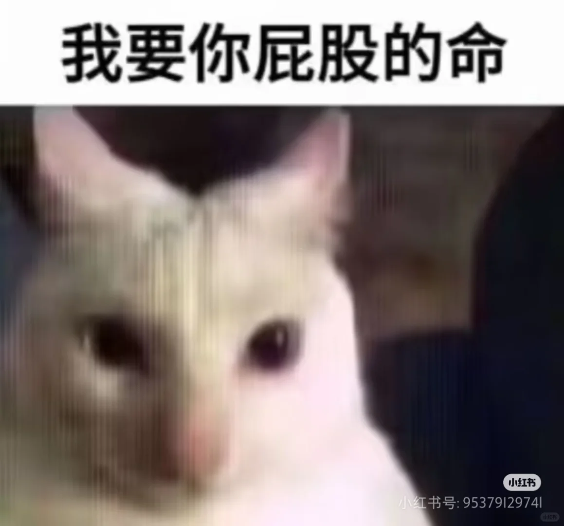 在颜值赛道里搞擦边本质