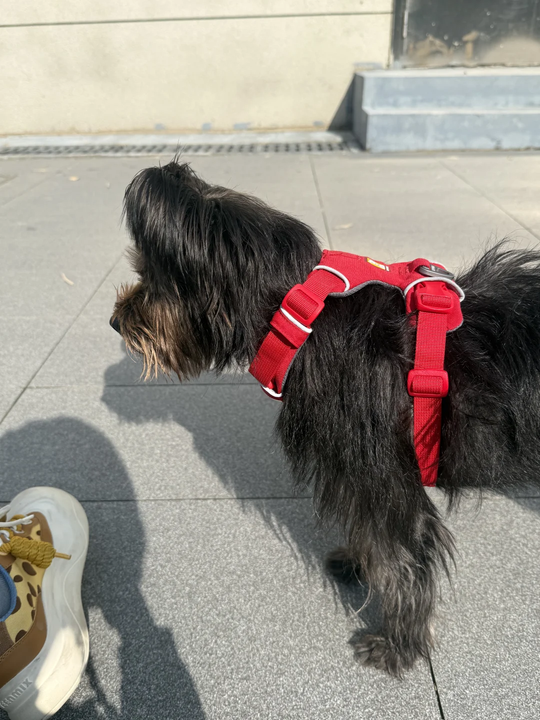 峡谷红，也不错。我们黑皮就要妖艳的颜色