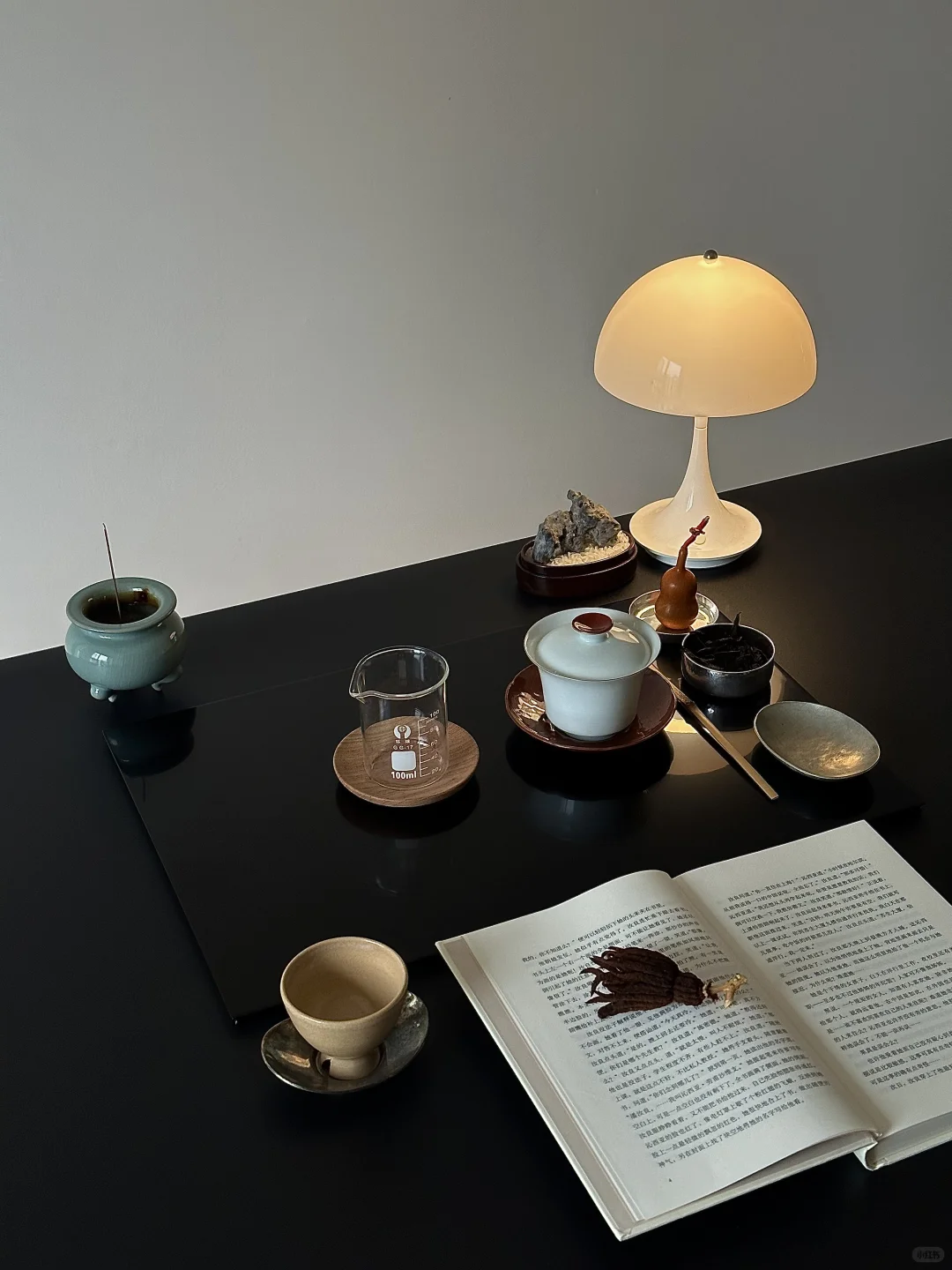 “来小红书 见见世面总是好的…”