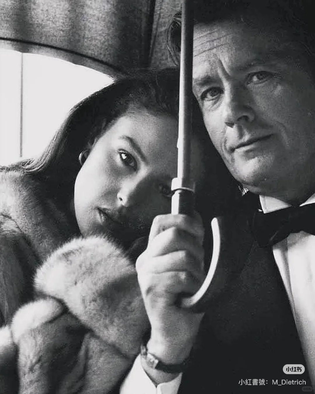 欣赏美人 治愈灵魂