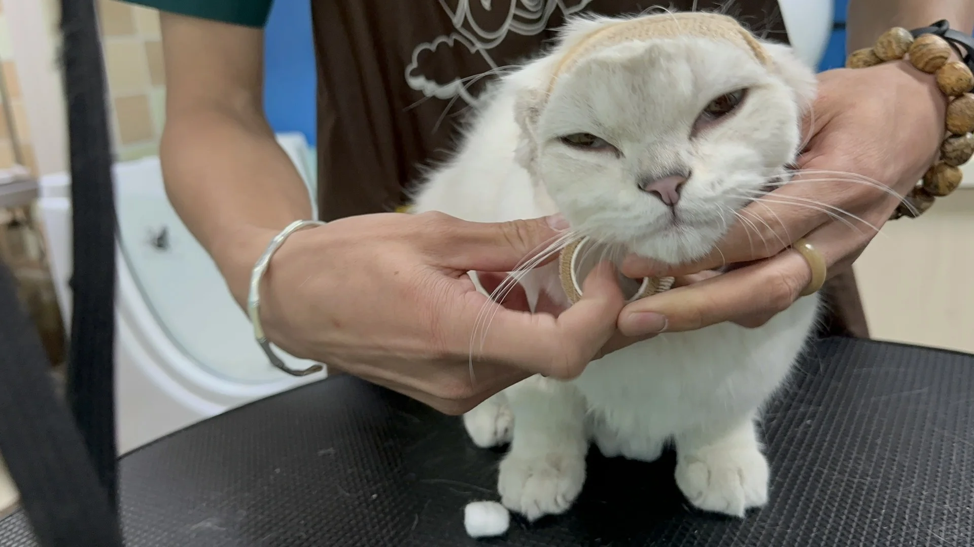 媚眼如丝→鬼迷日眼