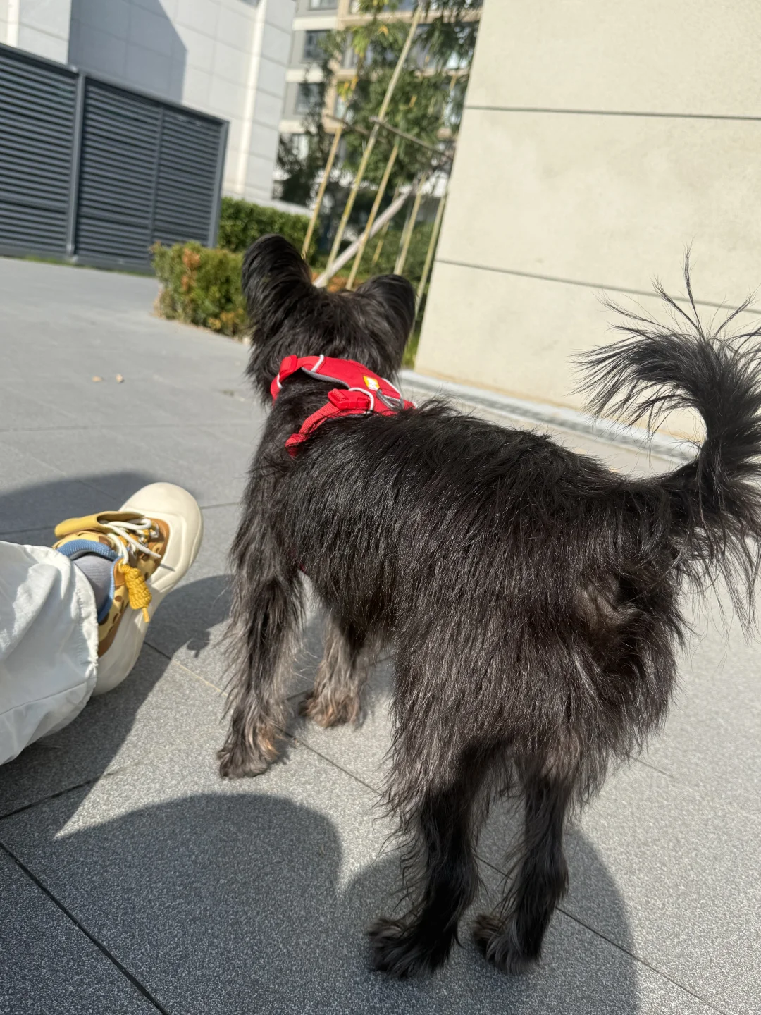 峡谷红，也不错。我们黑皮就要妖艳的颜色