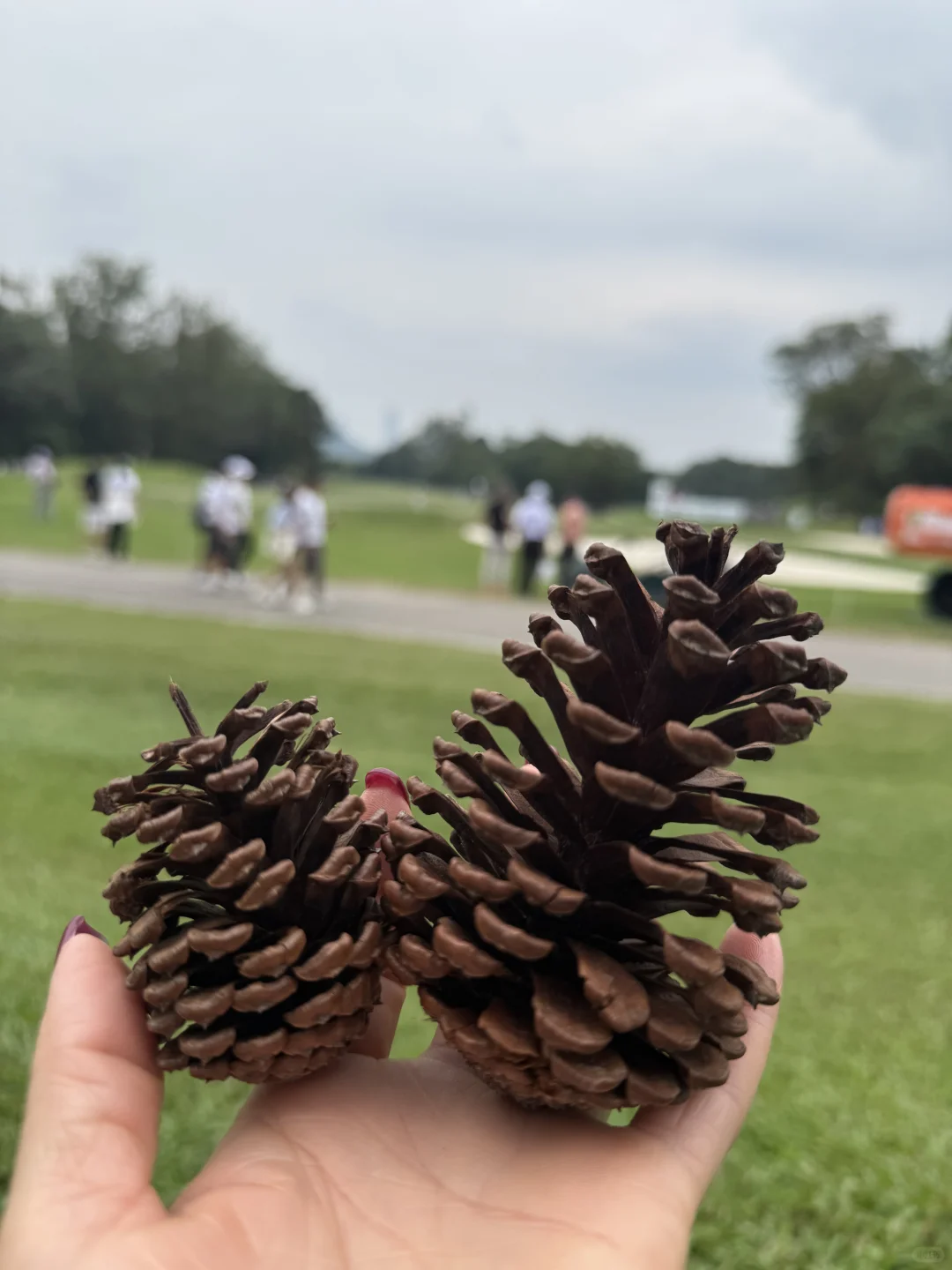 2025本季的「領展香港高爾夫球公開賽」