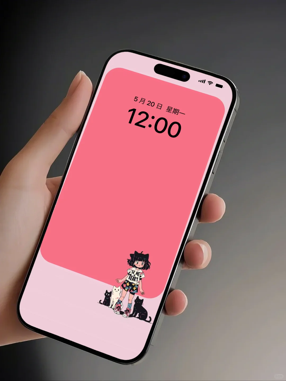 手机壁纸｜猫咪