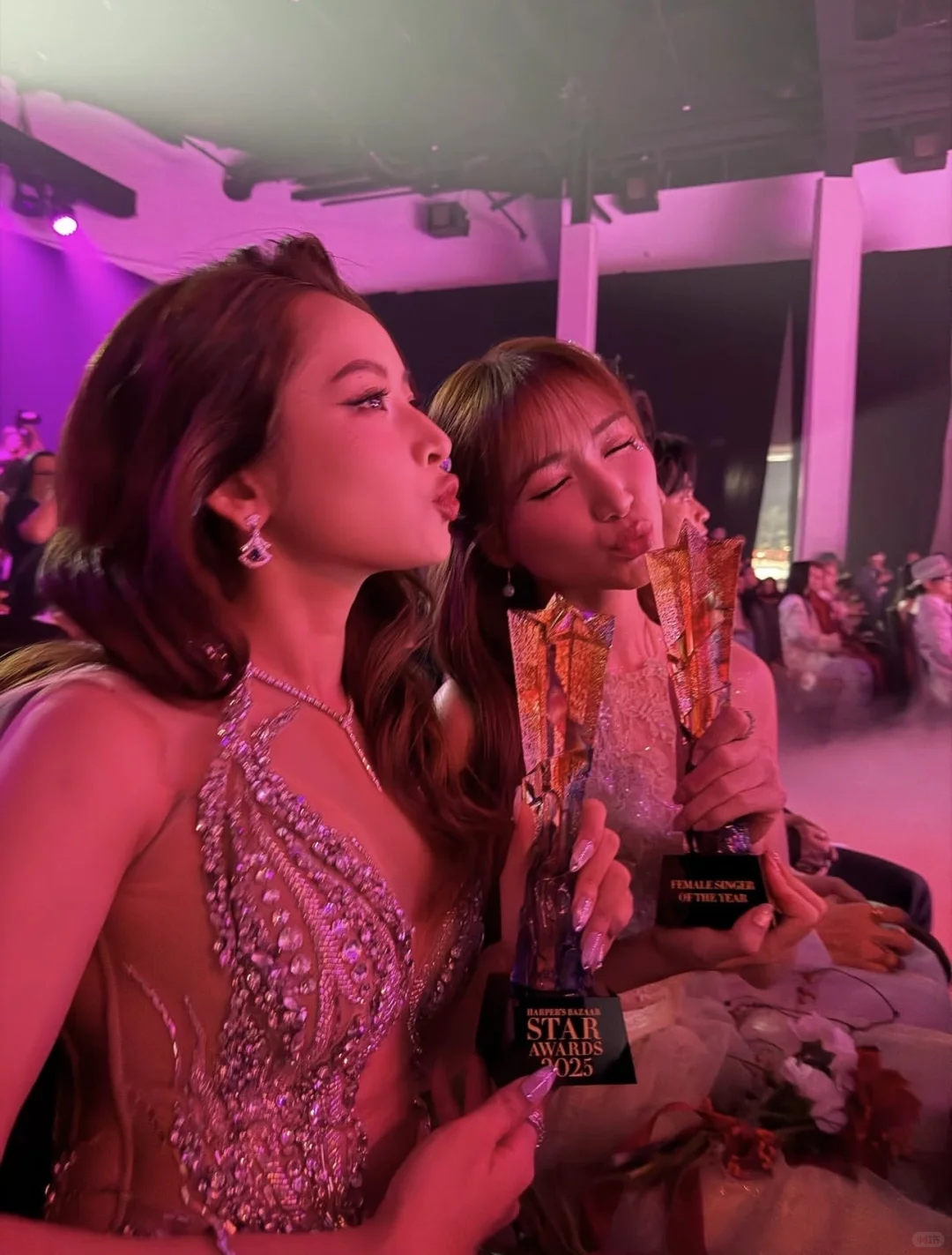 越南女神芝芙，年底最佳女歌手！