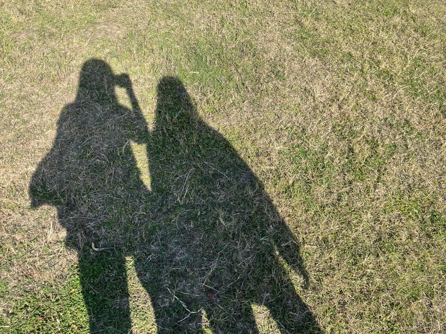 今日份的美人与美景😙