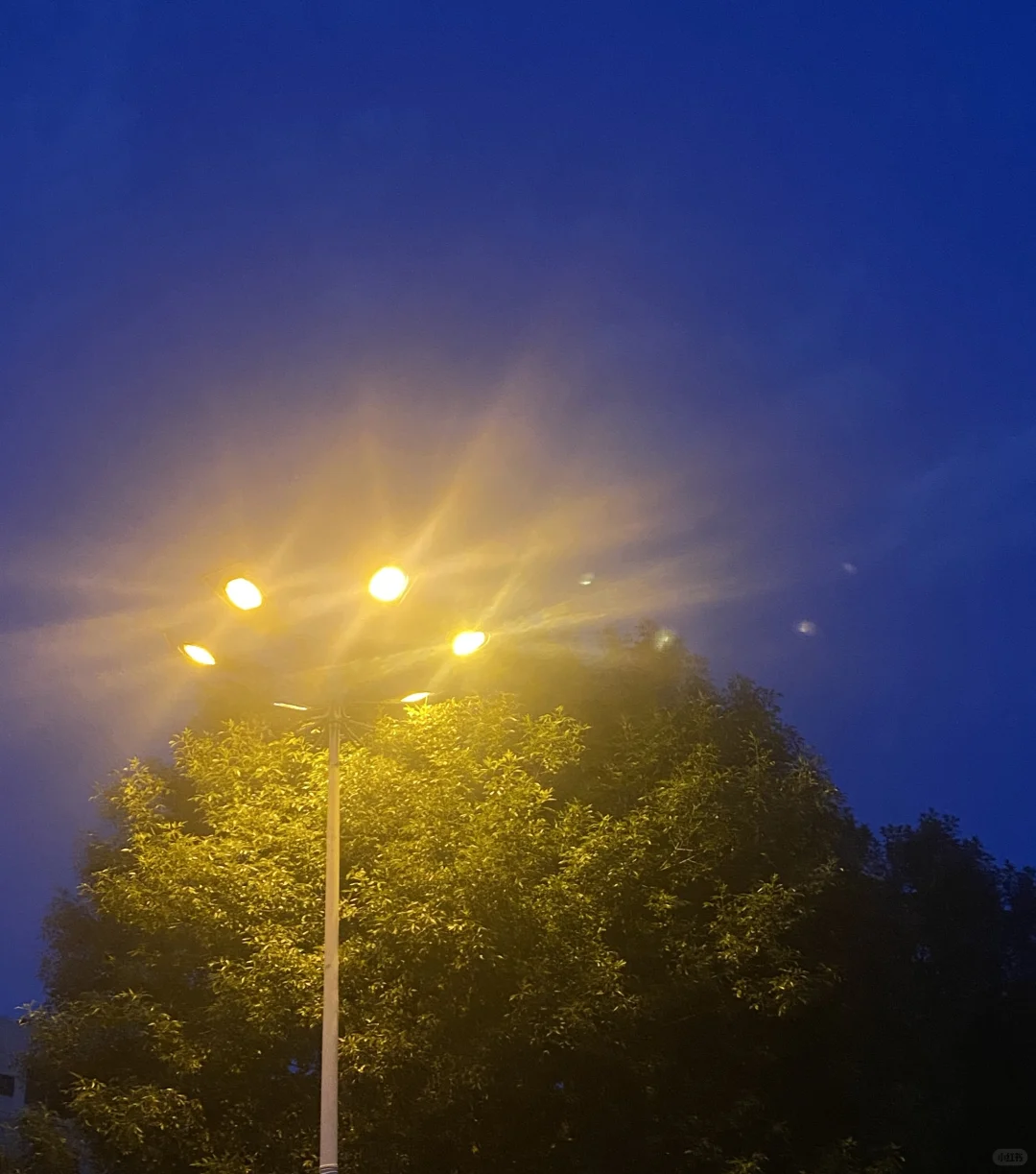 校园Plog3🔁女大学生的夜晚“回血”三件套