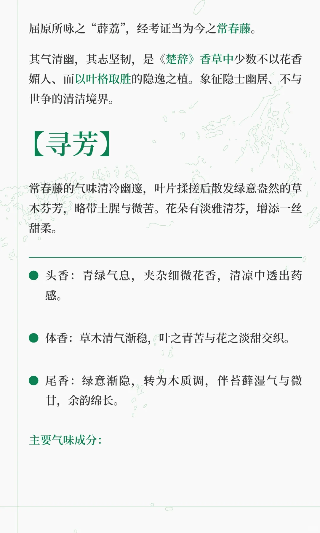 《楚辞》香草美人名录——薜荔（上篇）