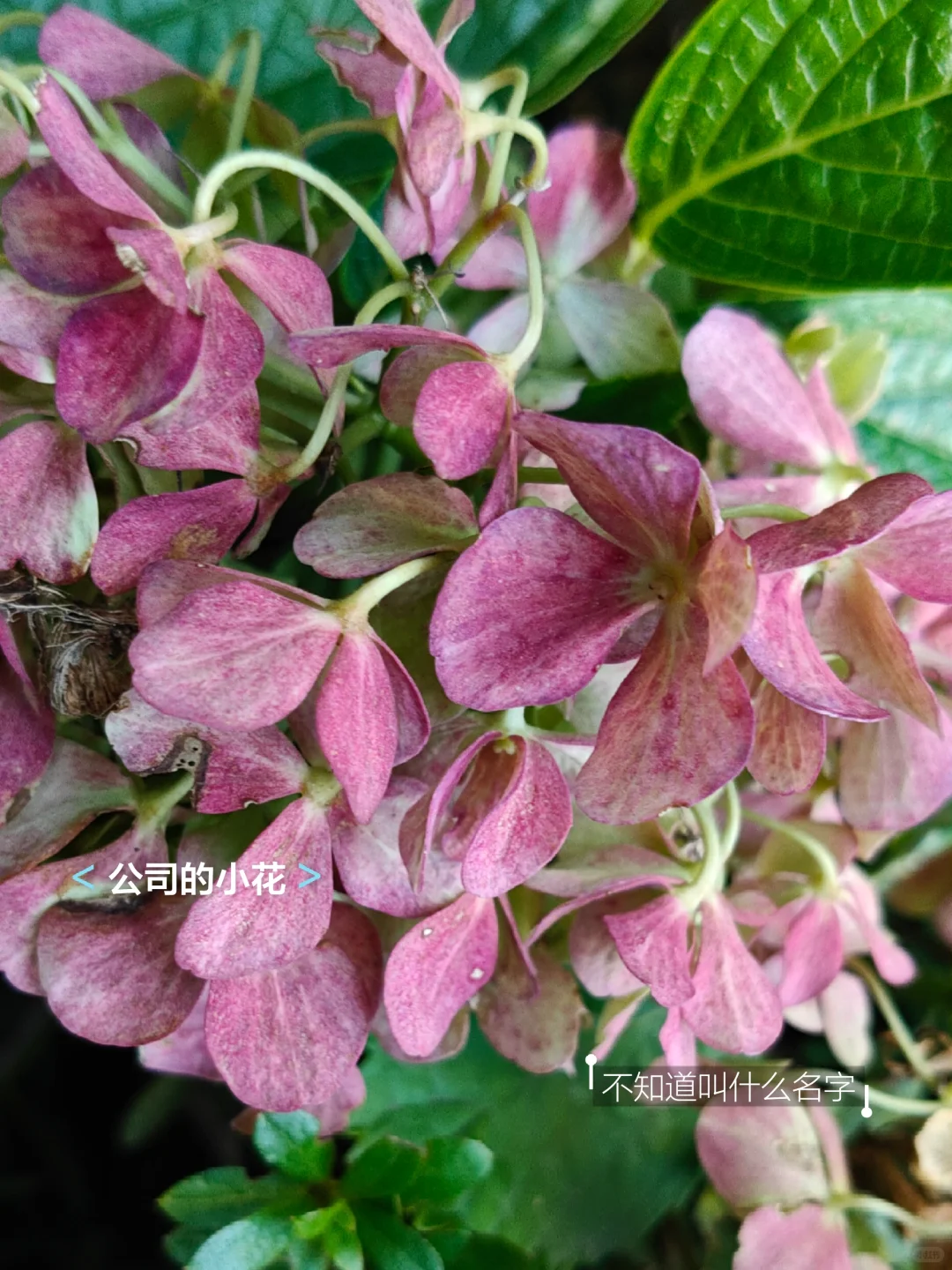 23女大学生勇闯IT圈