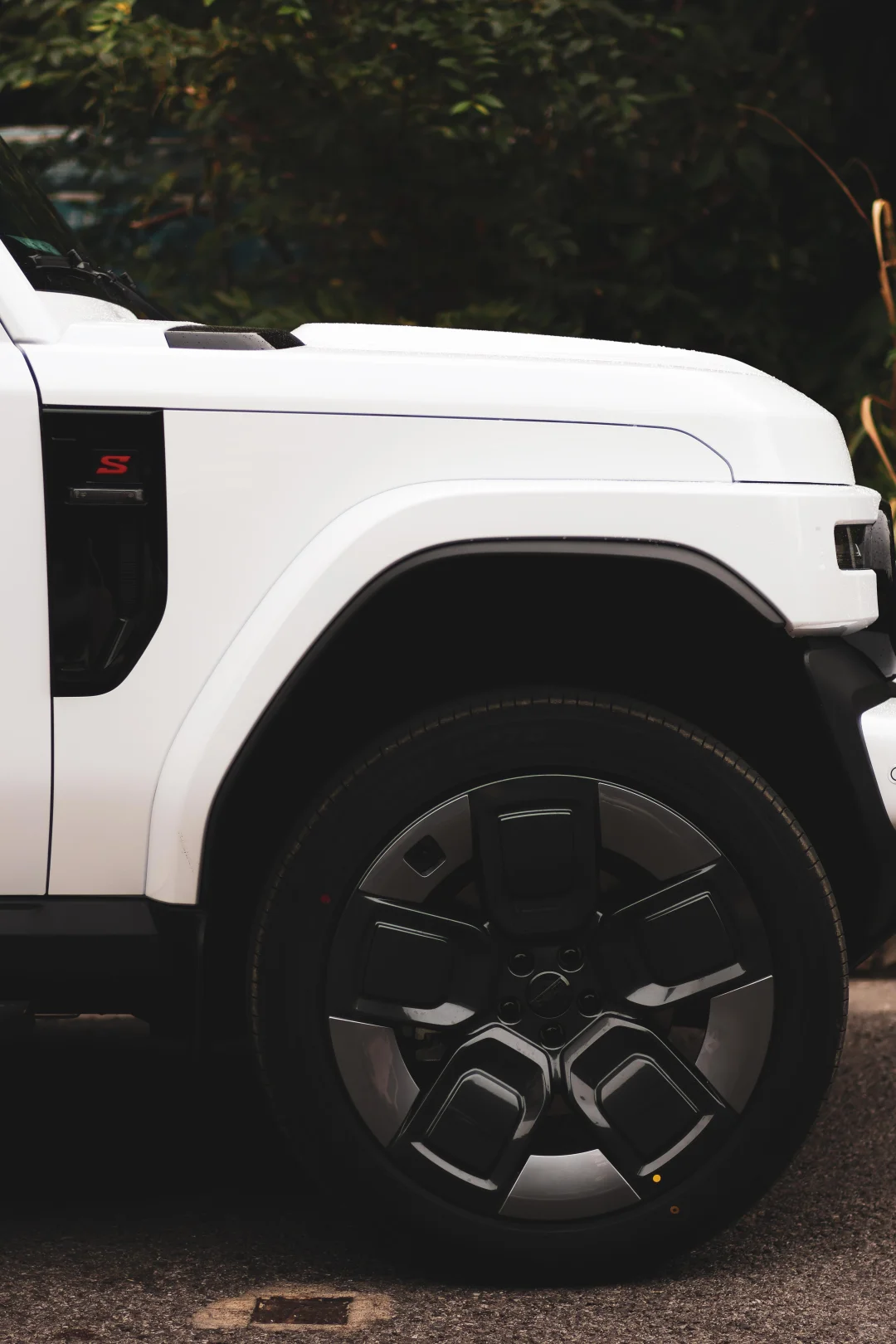 📸 白天 vs 夜晚，小白都好好拍！ ✨