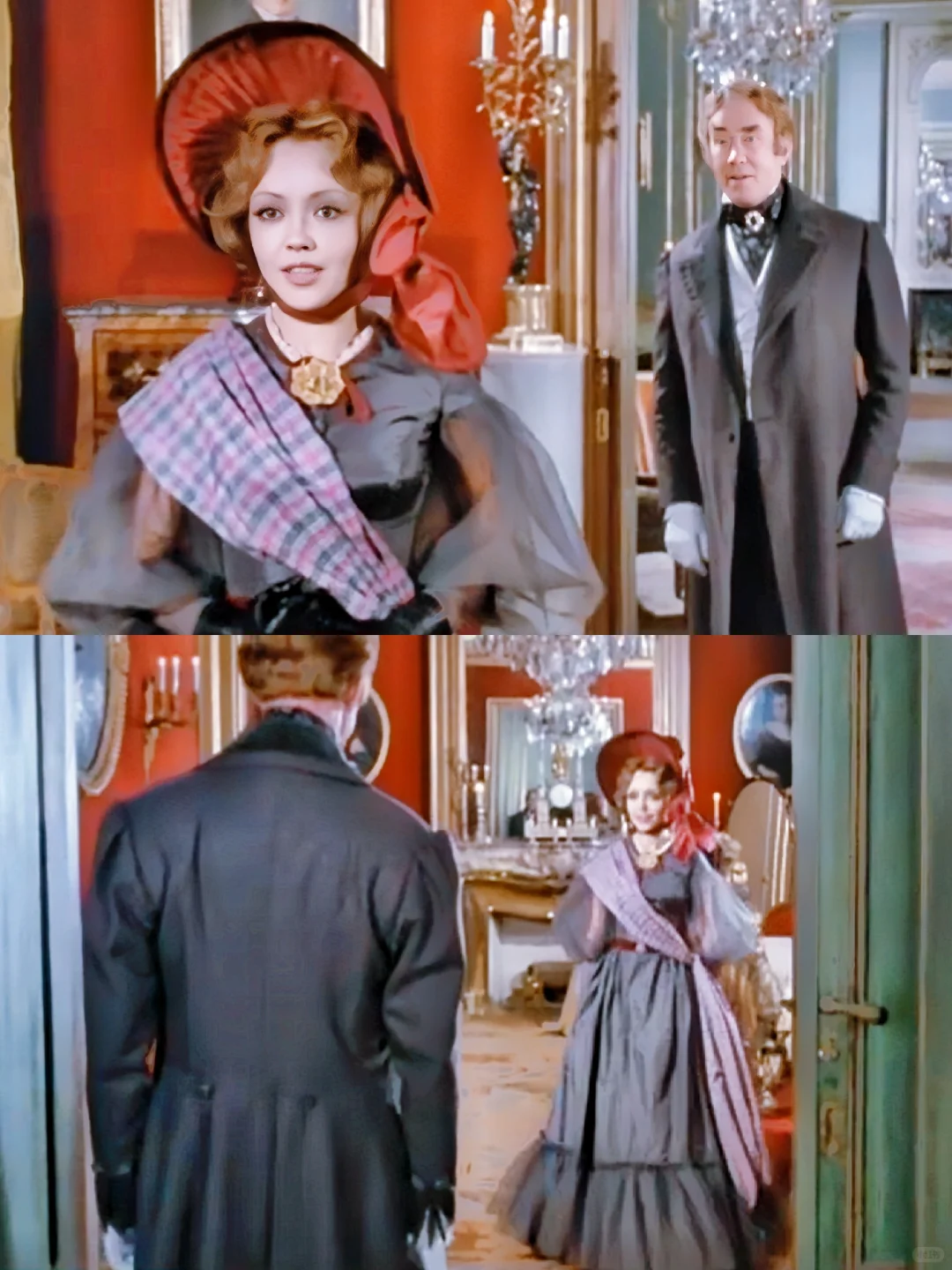 娇艳欲滴的虞美人