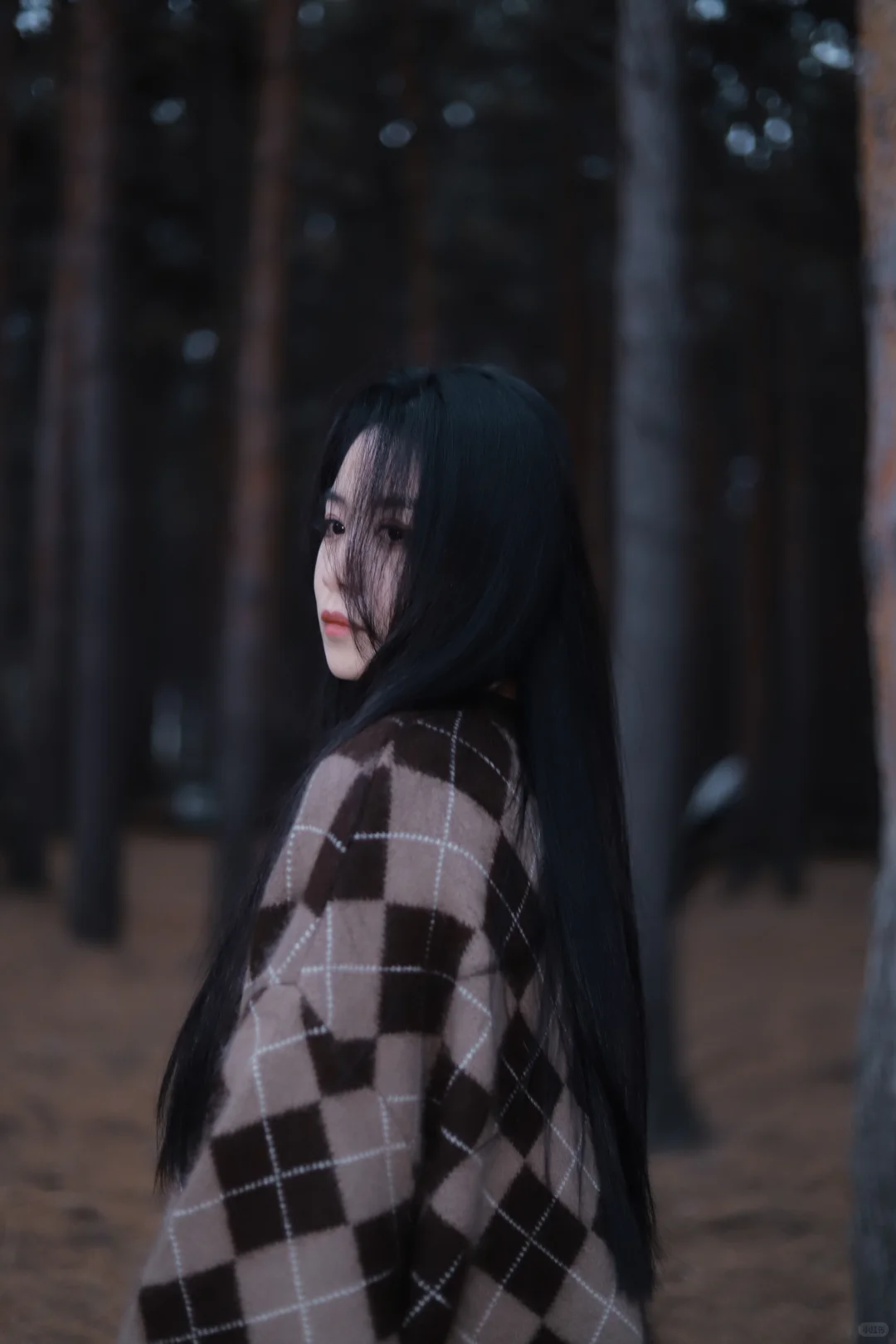 哈尔滨女摄约拍客片|人间忽晚，山河已秋