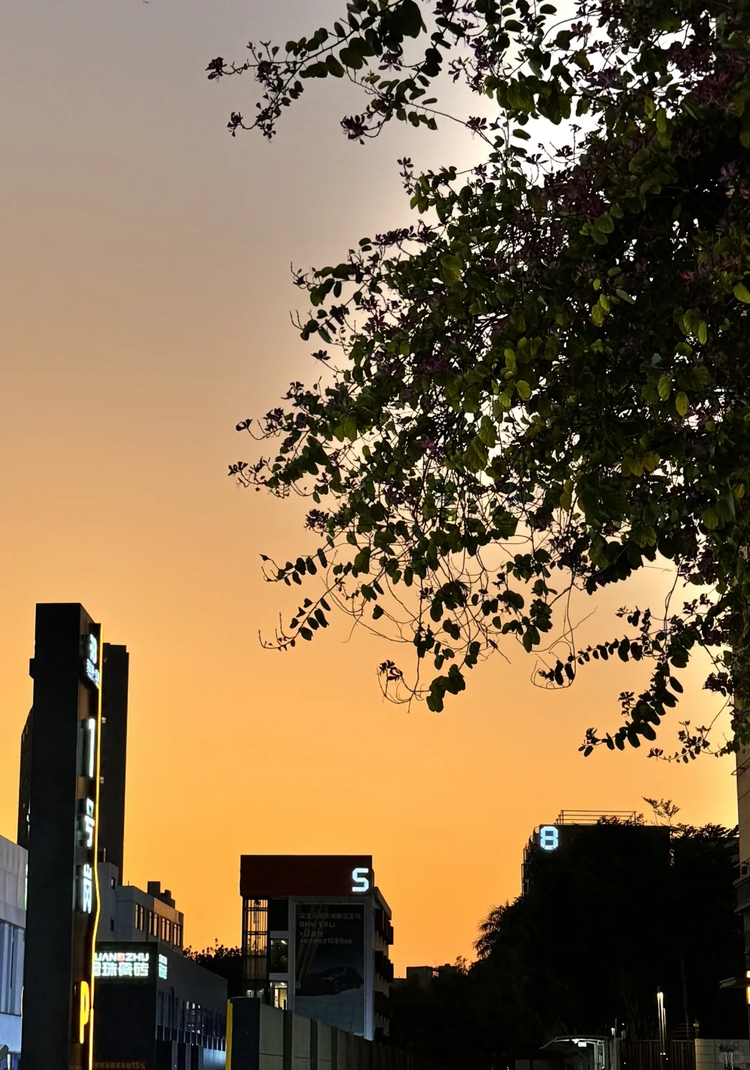 打破沉闷，我的夏天是充满活力的🧡