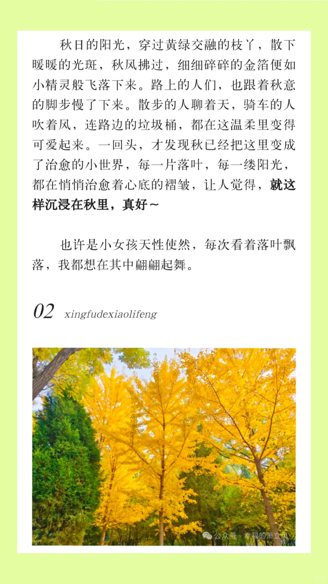 女大勇闯公众号|文章|公园|第六章