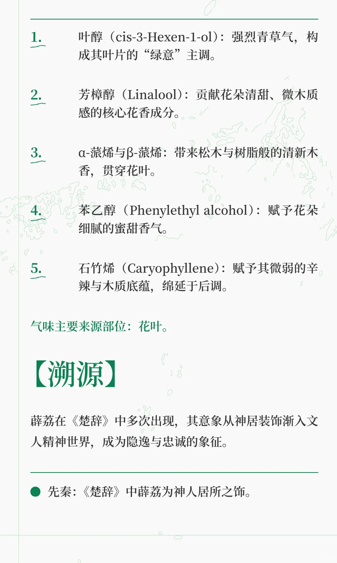 《楚辞》香草美人名录——薜荔（上篇）