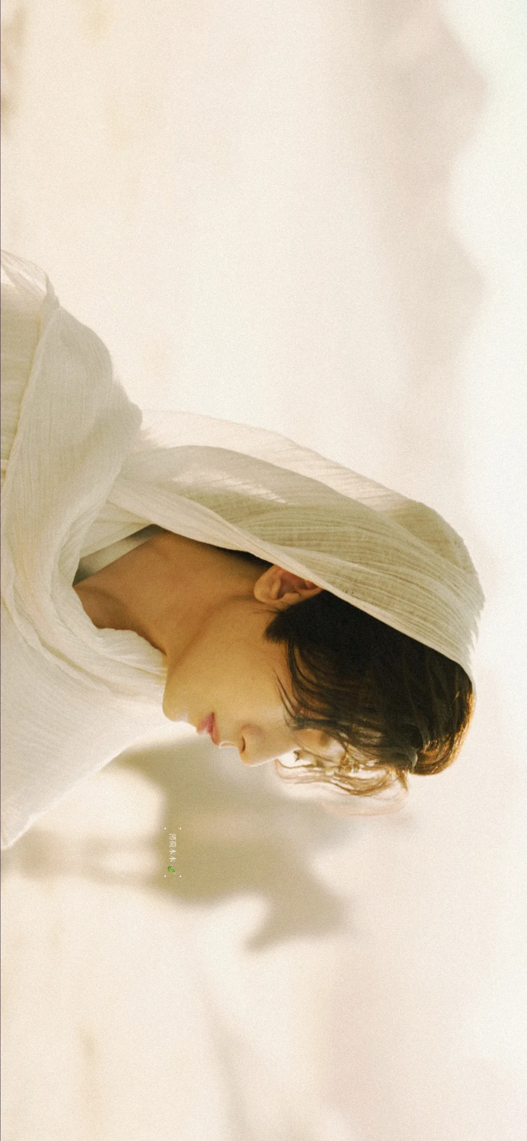 传说西西域来了一位神仙美人