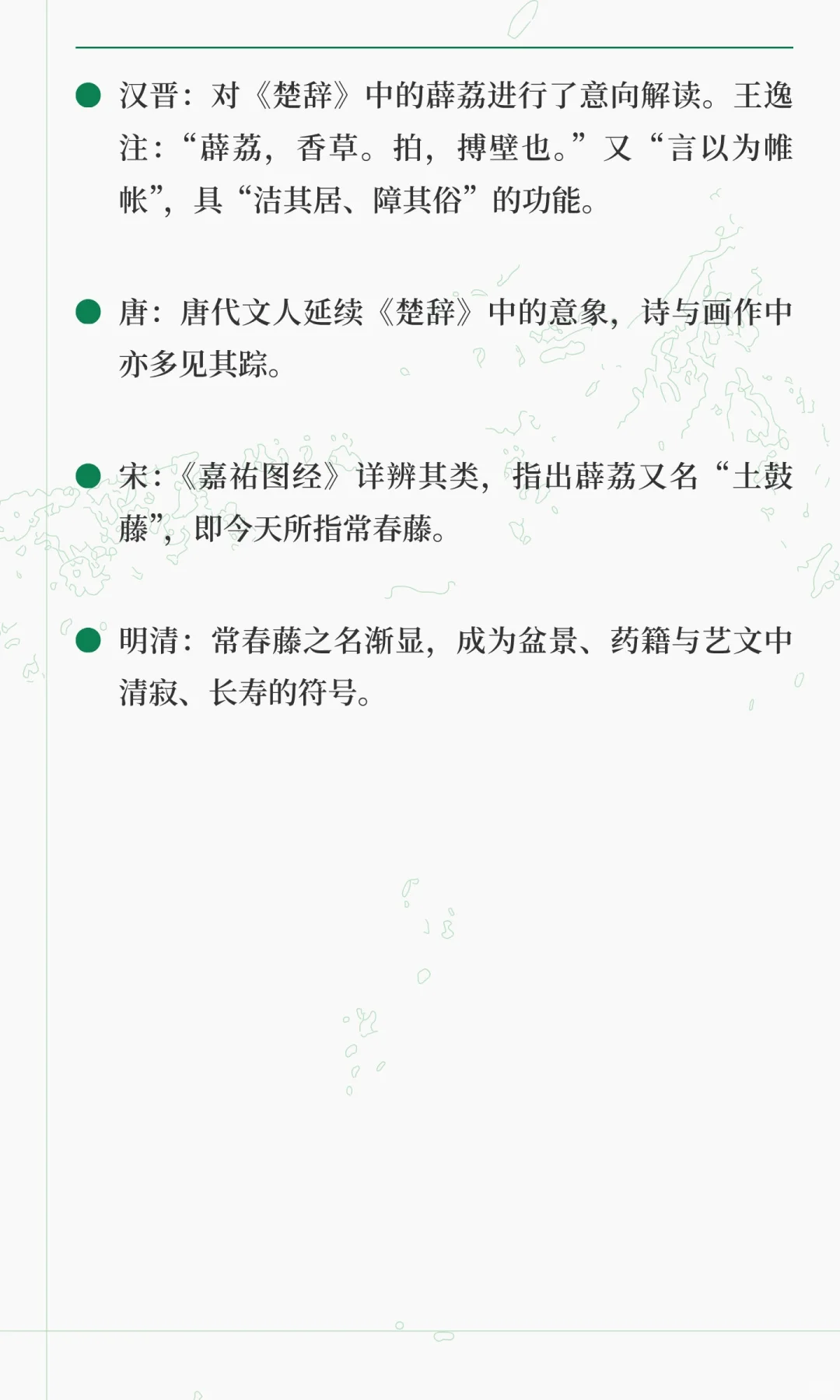 《楚辞》香草美人名录——薜荔（上篇）