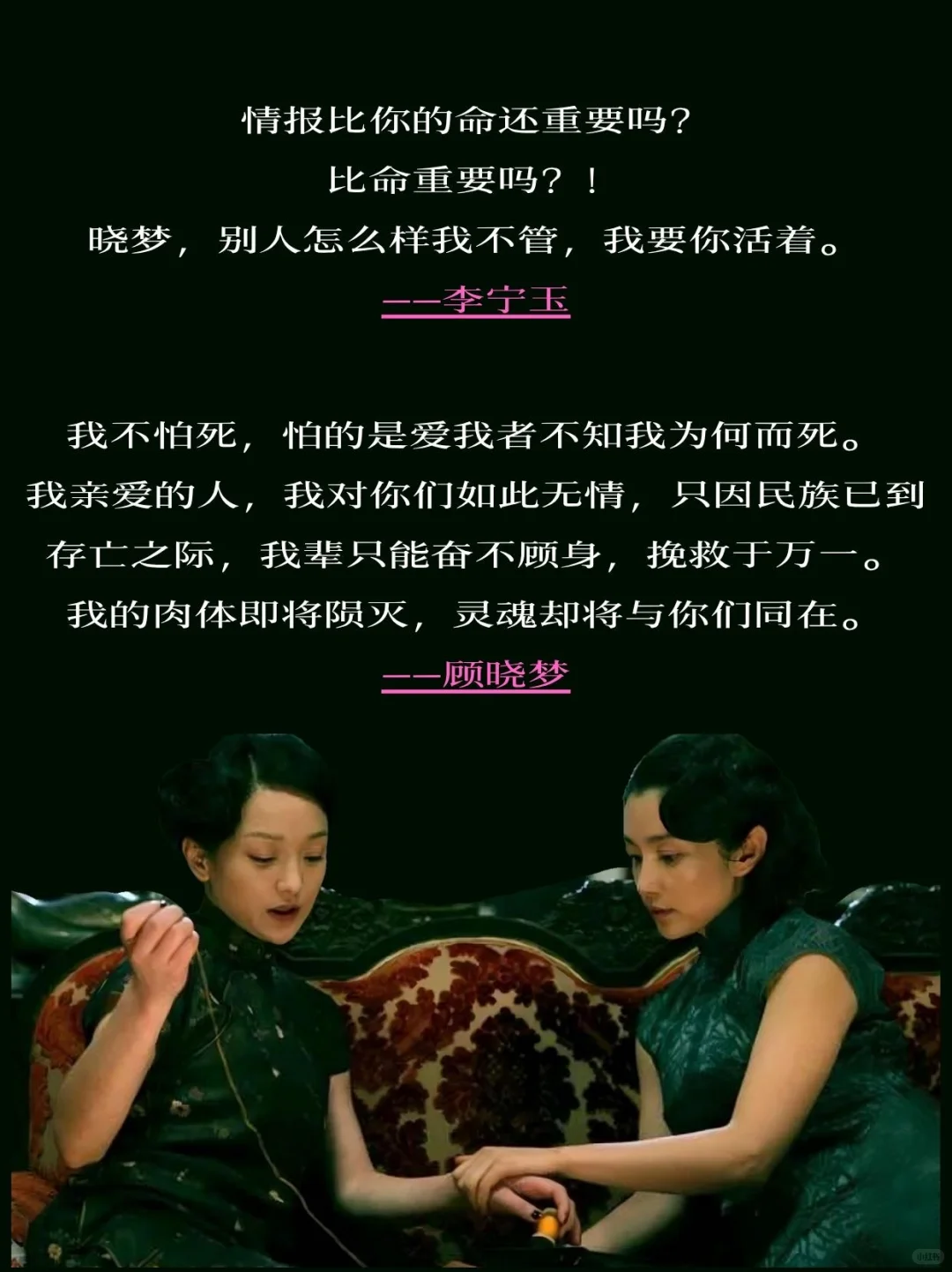 《风声》|双生玫瑰，乱世绽放🌹