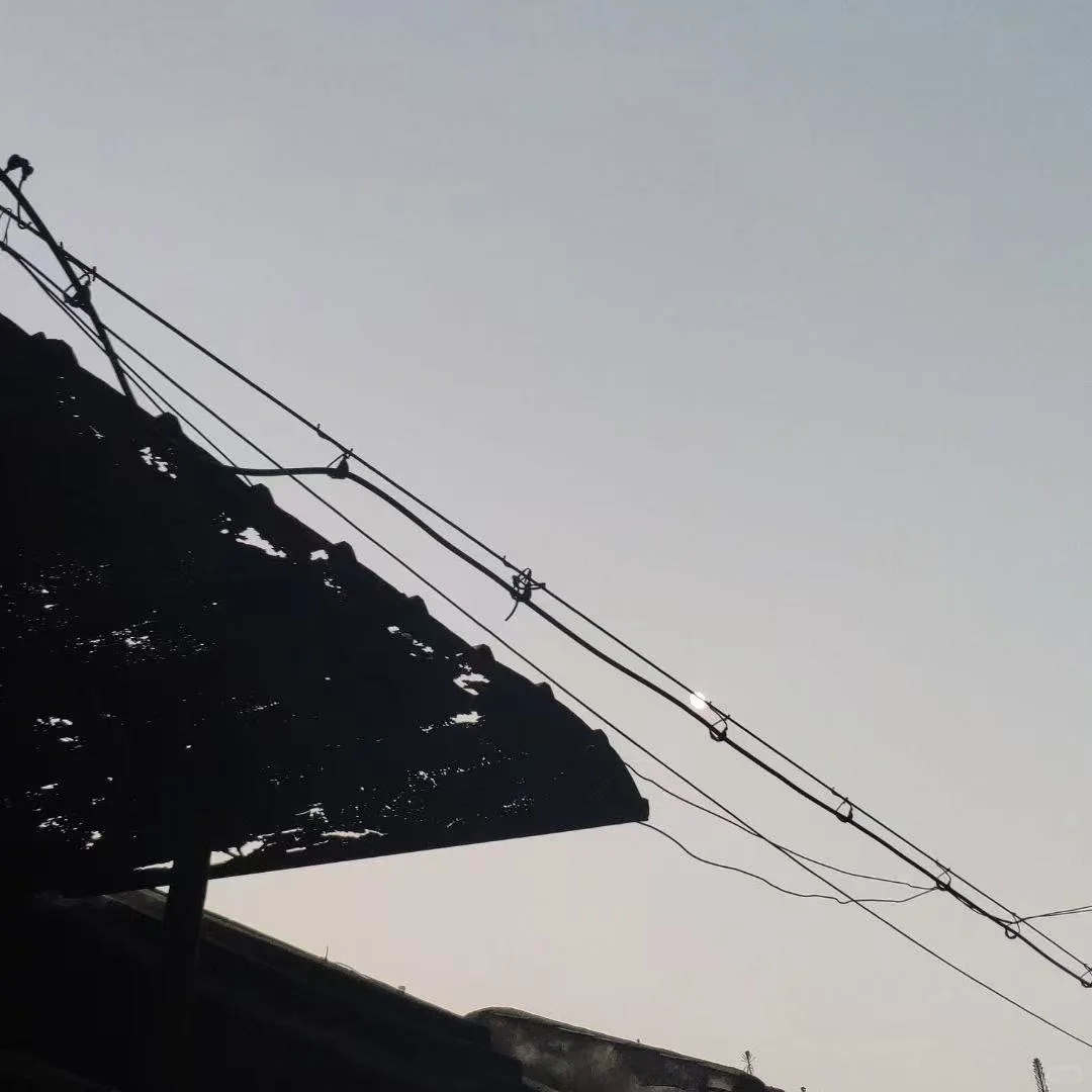 被拒绝的姨妈的遗产