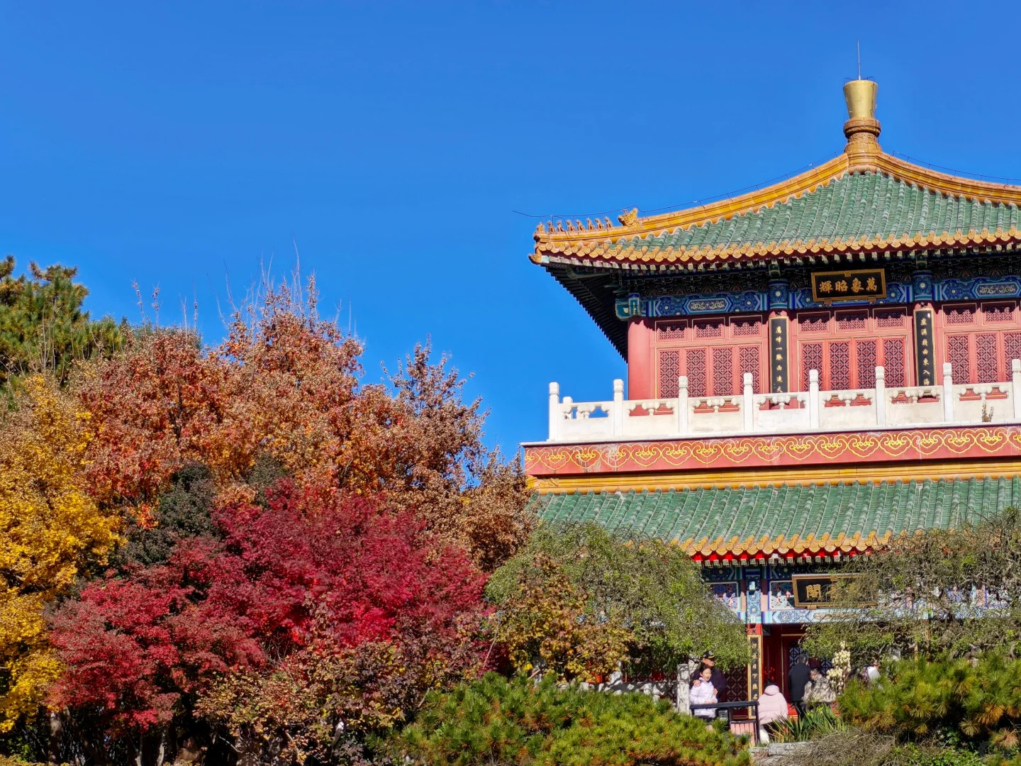 北平之秋，这颜色妖艳的完全不用加滤镜