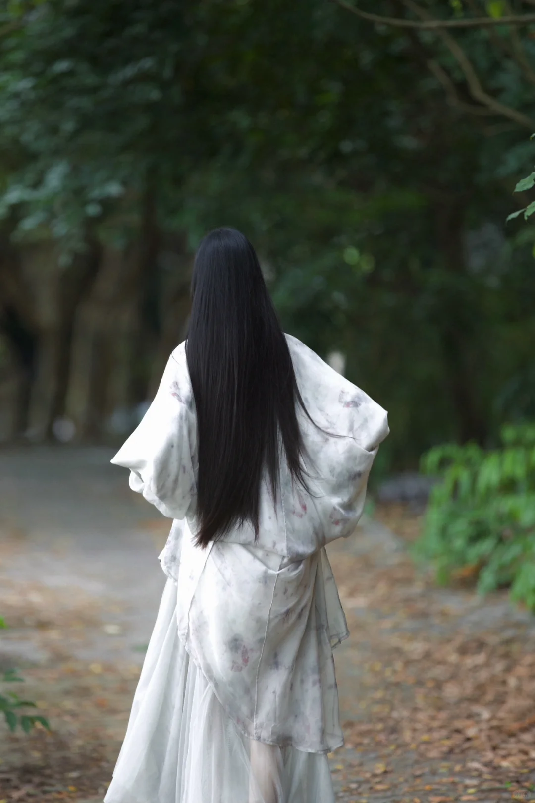 一袭素雅，一梦清风