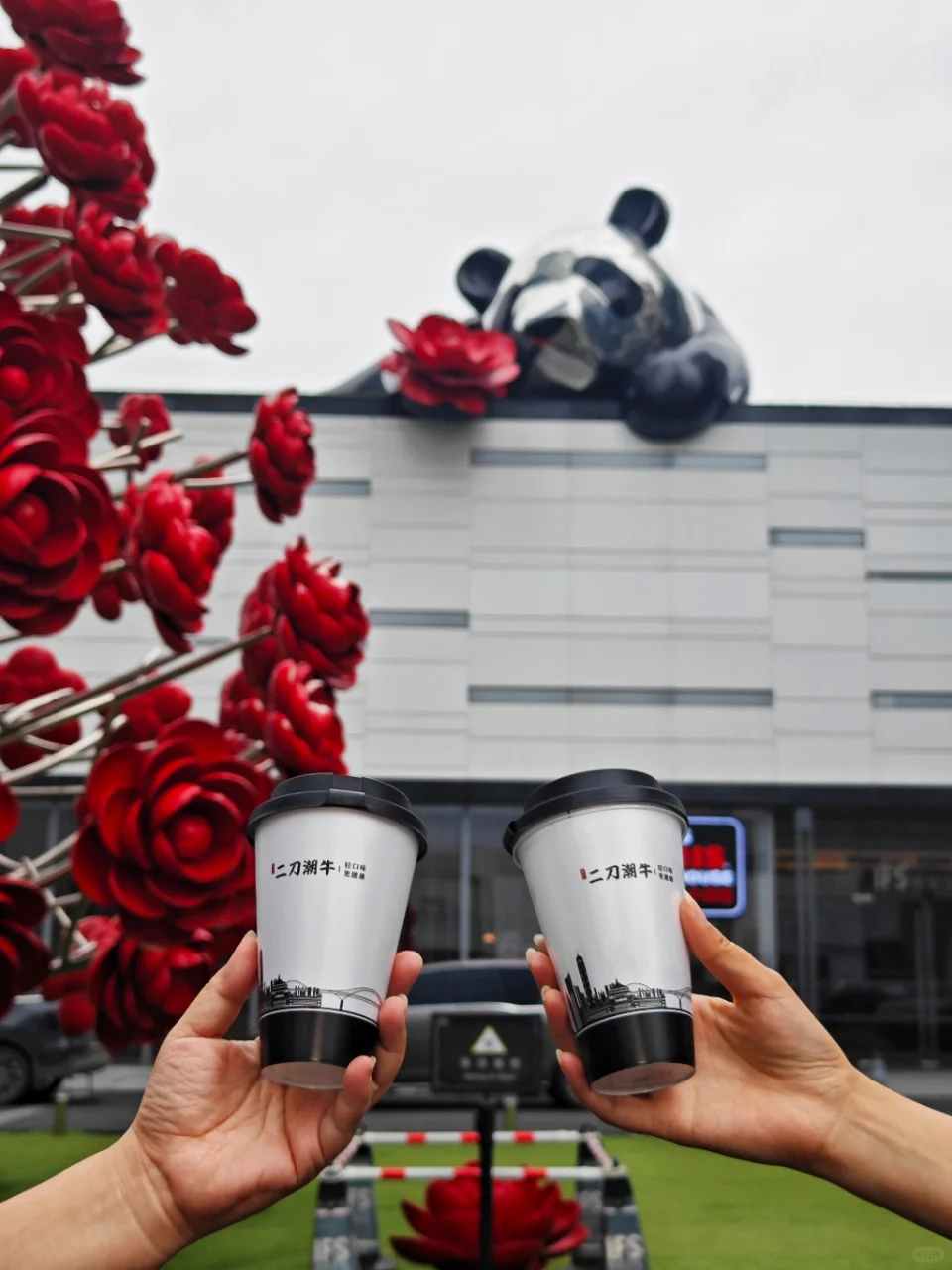 应季而食｜豌豆尖配潮汕牛肉火锅，鲜美