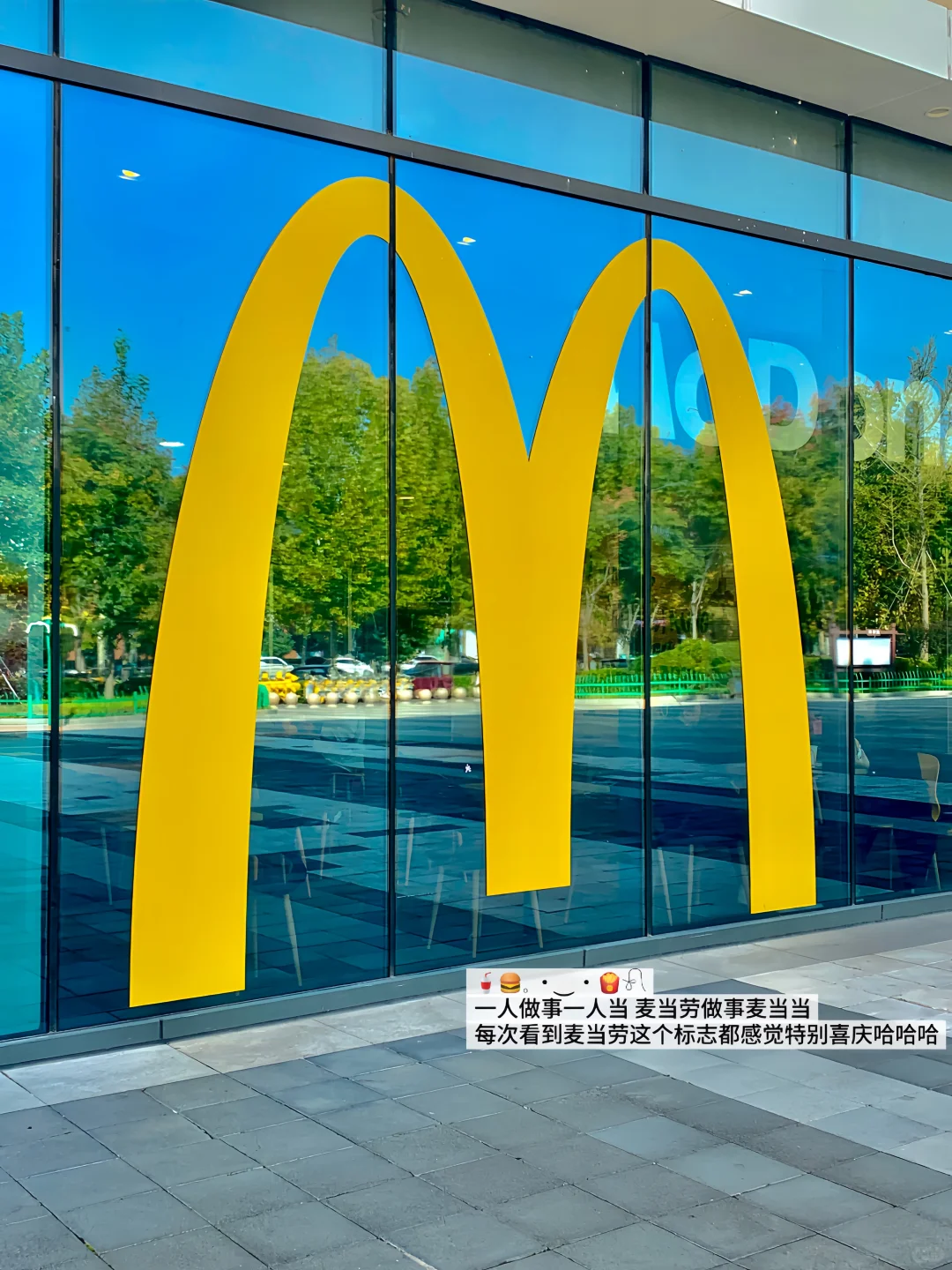 ISFJ 03女大｜当我开始享受我的大四校园生活