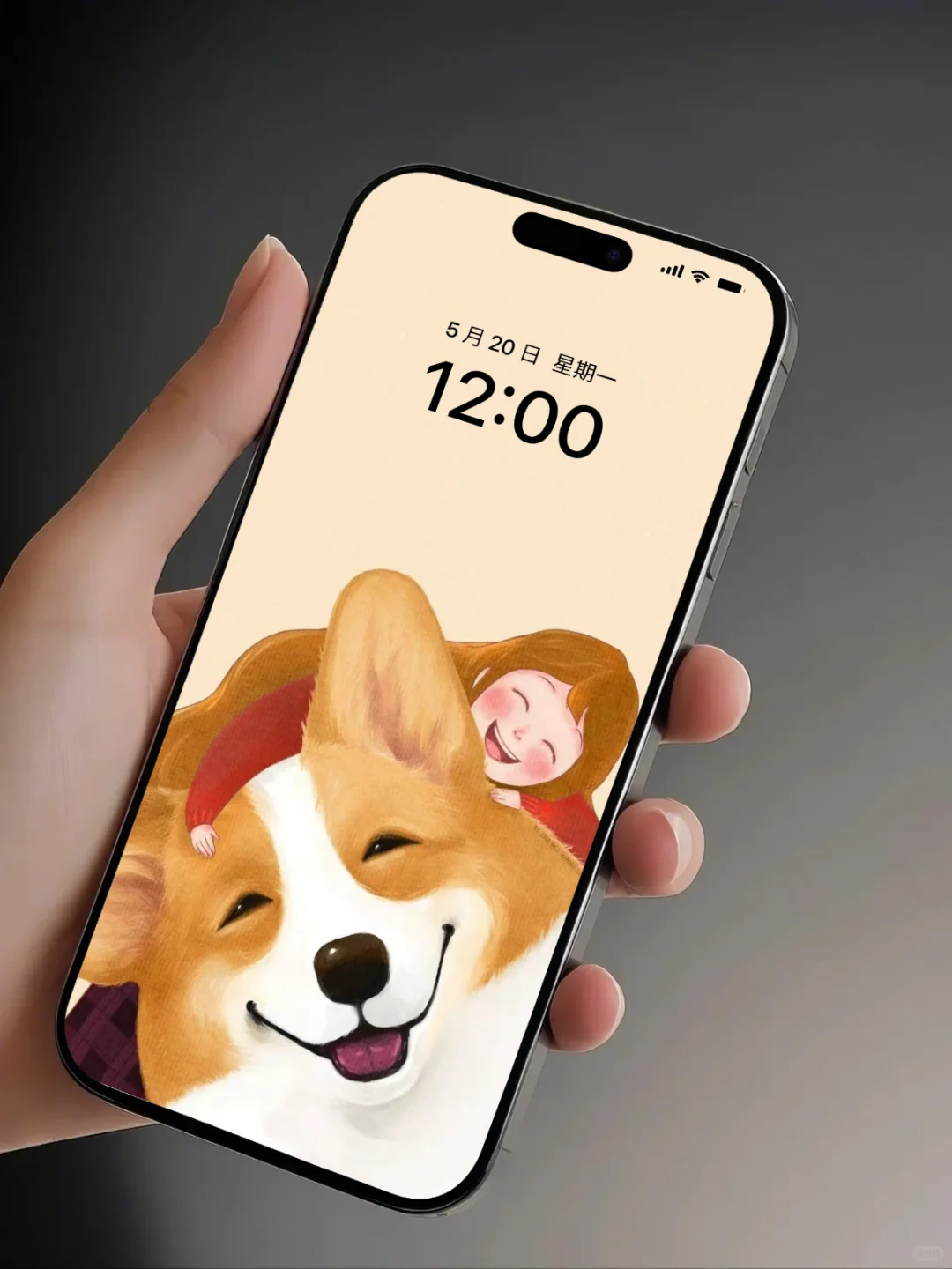 手机壁纸｜柯基