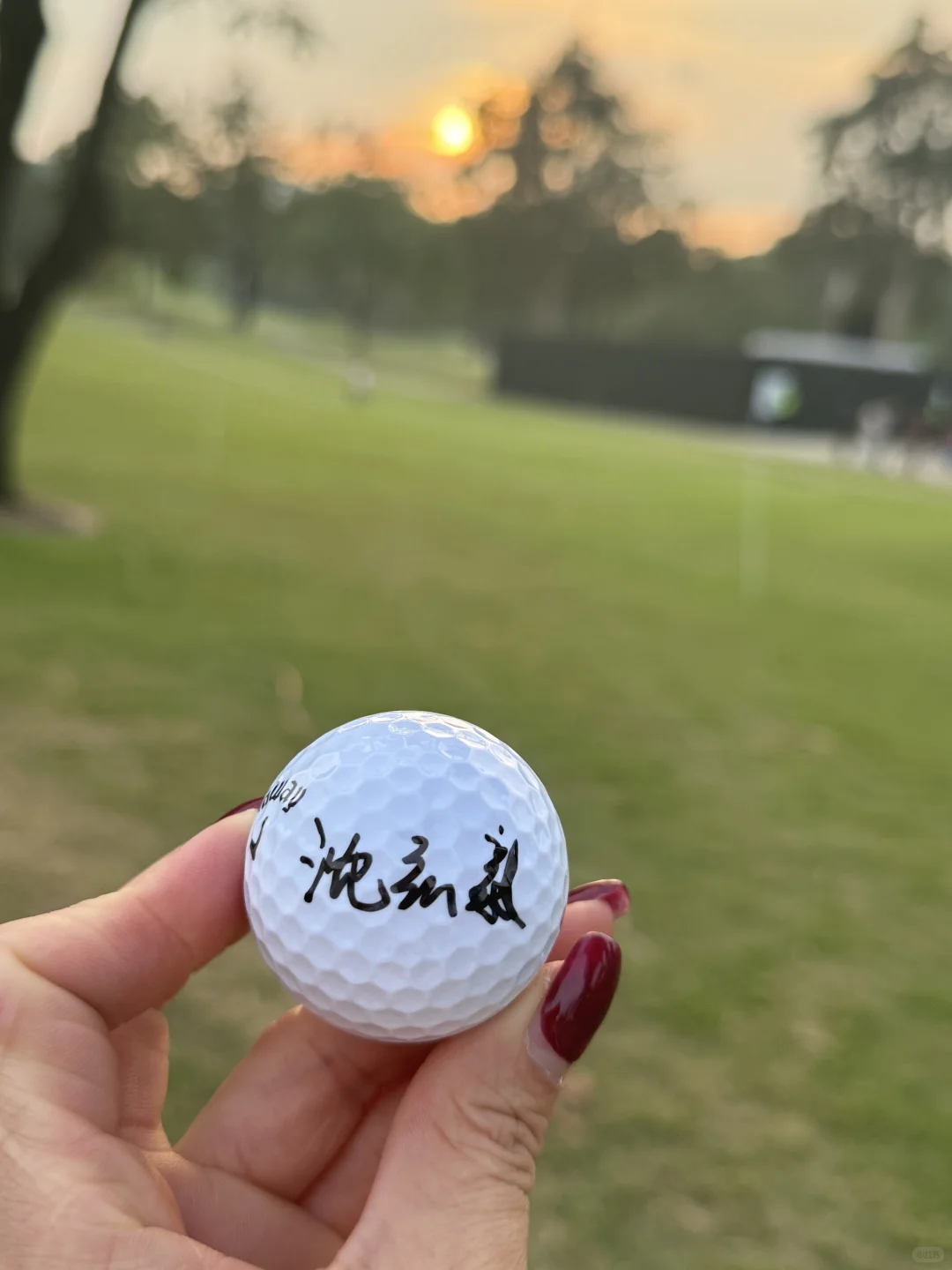 2025本季的「領展香港高爾夫球公開賽」